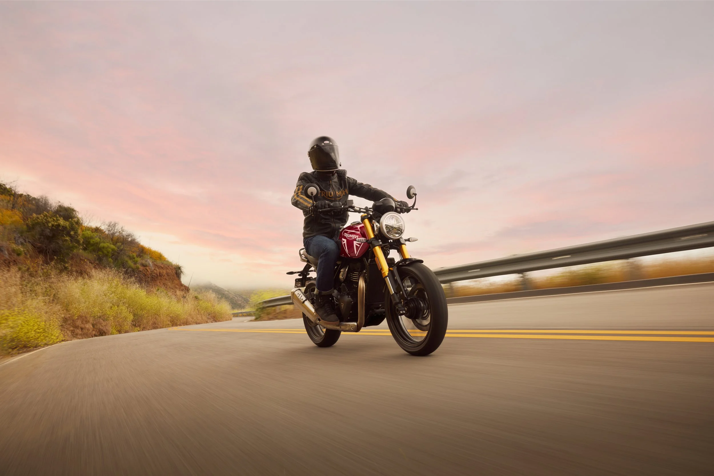 Triumph Speed 400 Dynamic 5.jpg