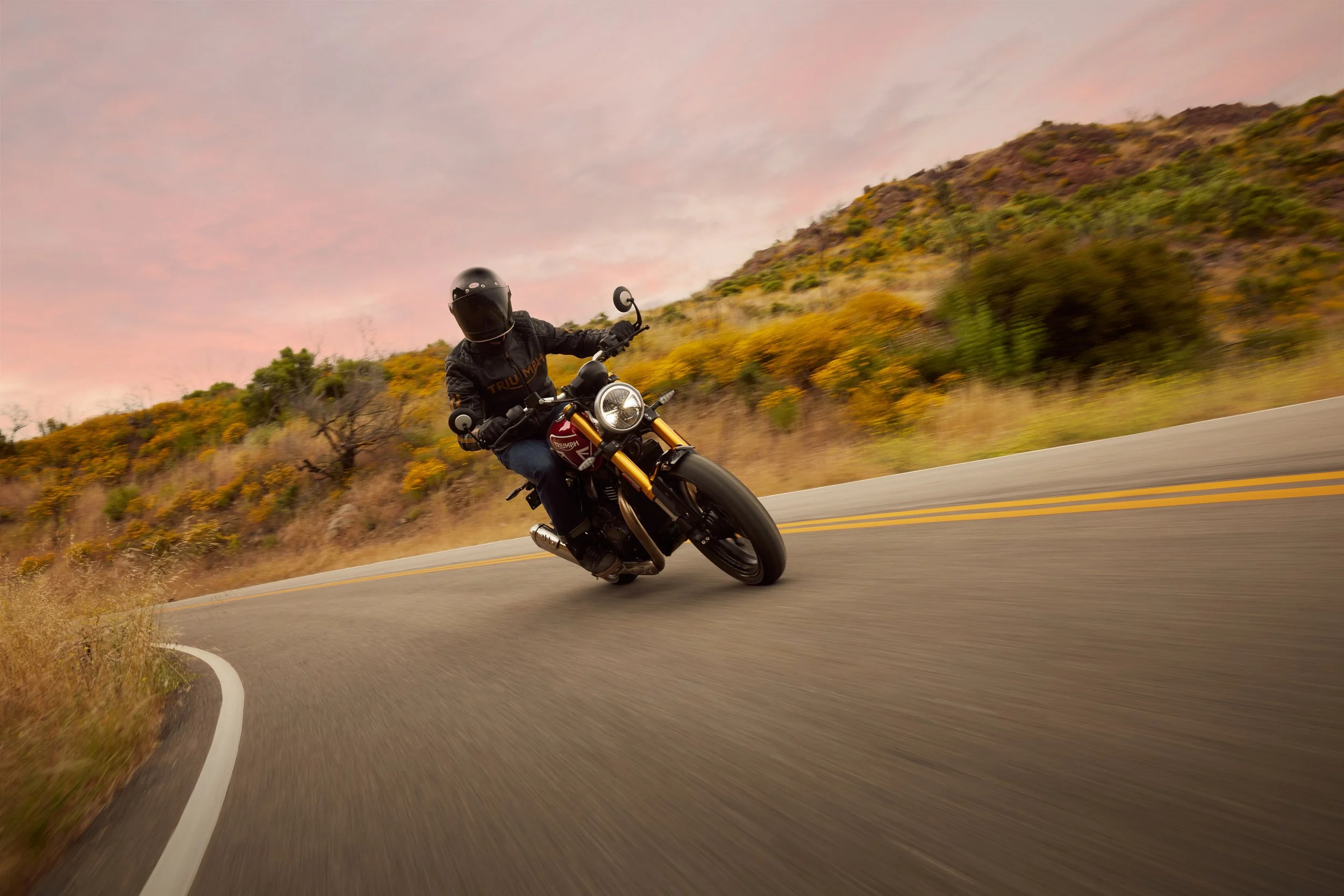 Triumph Speed 400 Dynamic 6.jpg
