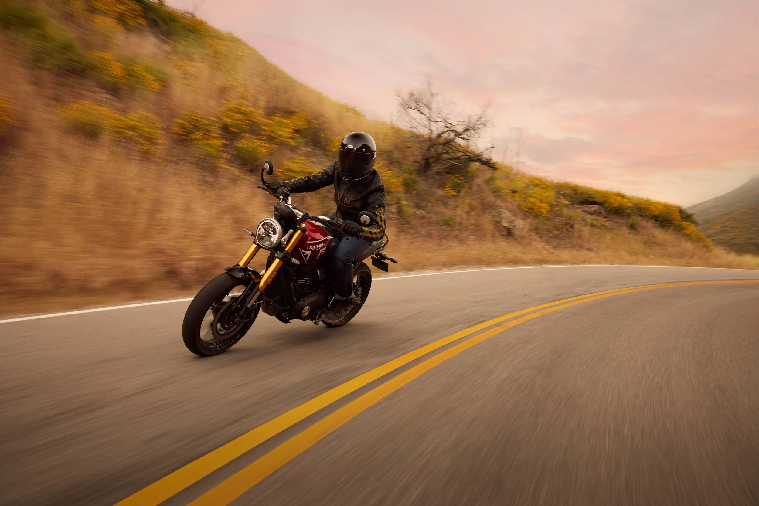 Triumph Speed 400 Dynamic 7.jpg