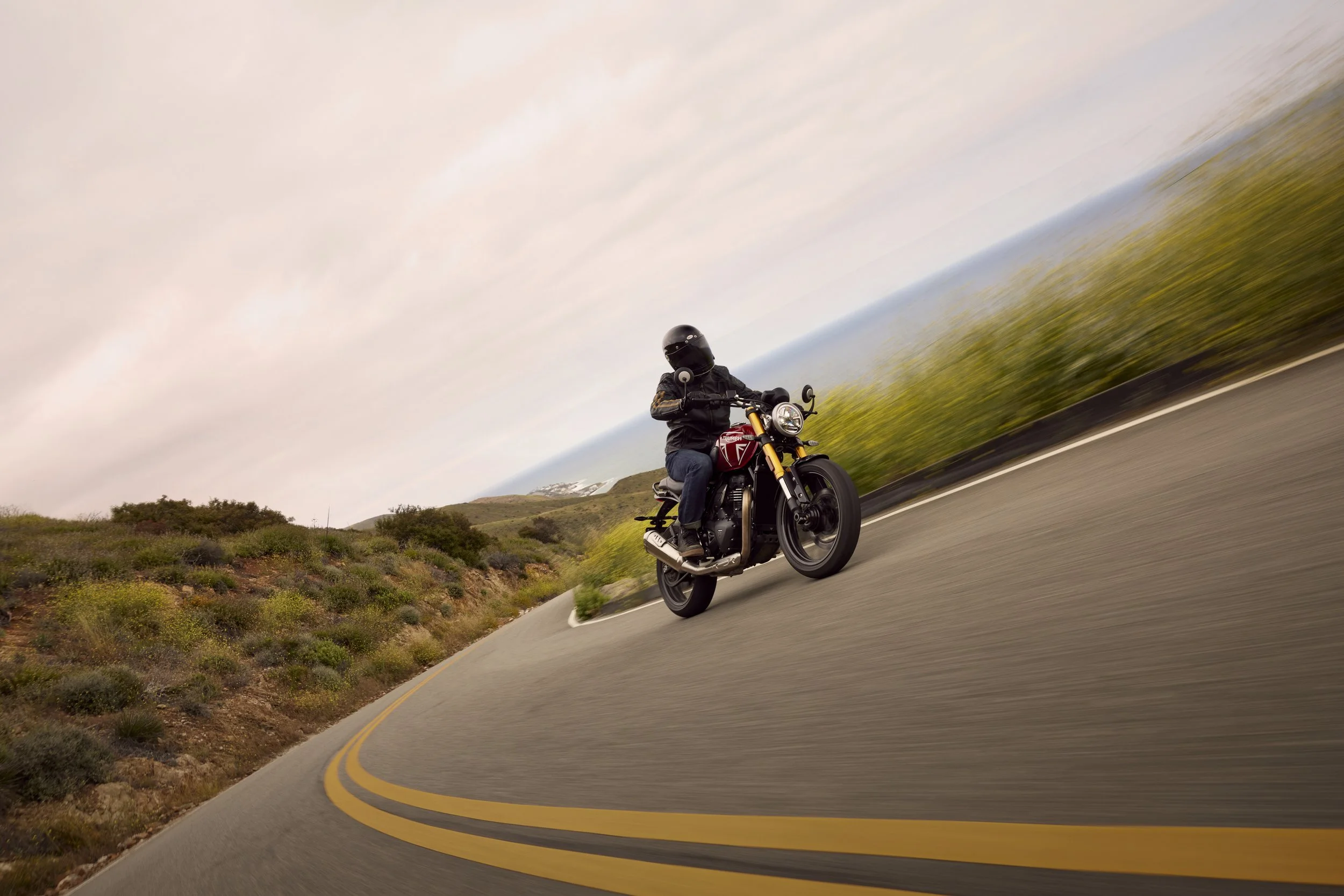 Triumph Speed 400 Dynamic 9.jpg