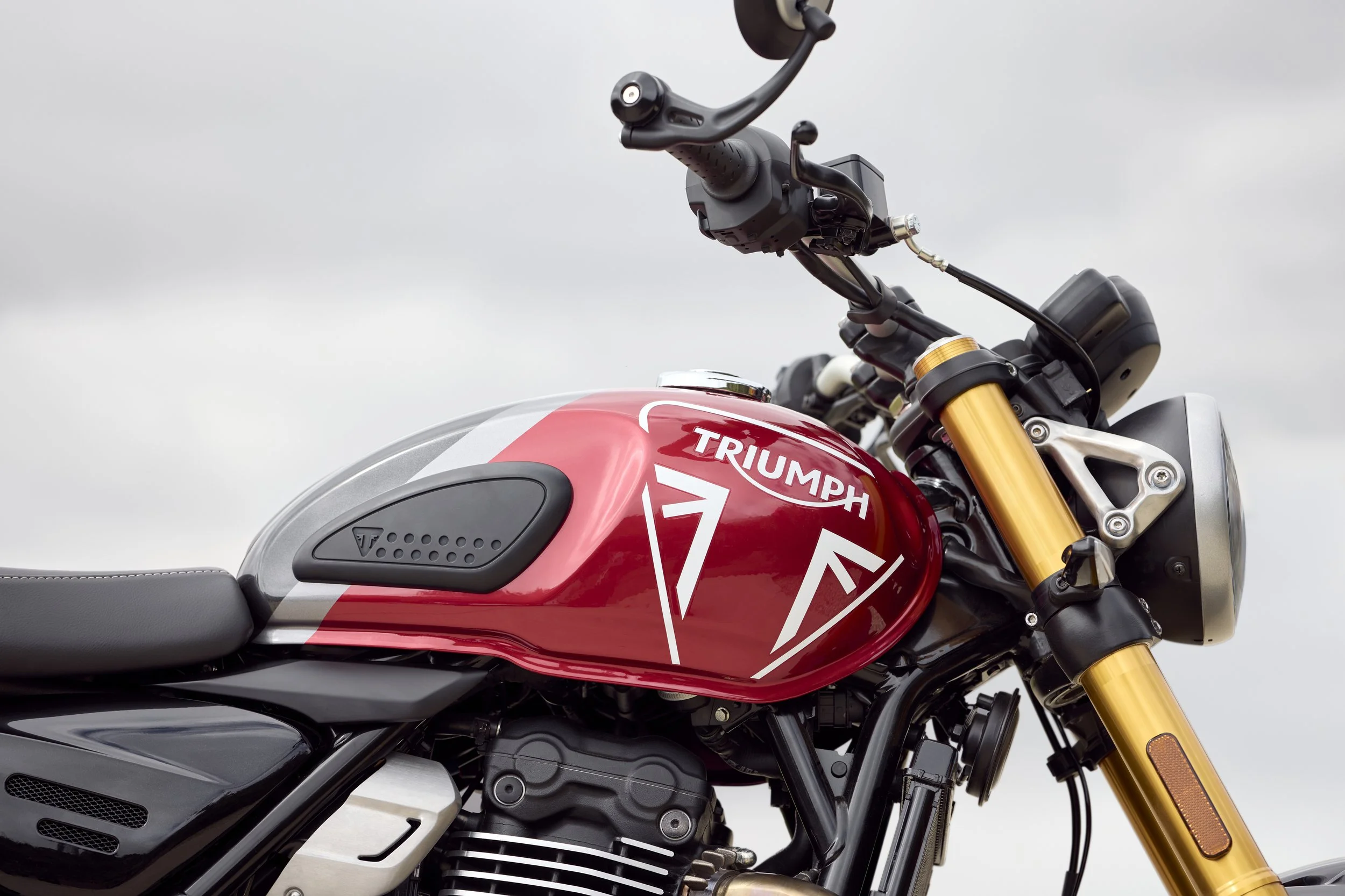 Triumph Speed 400 Details 6.jpg