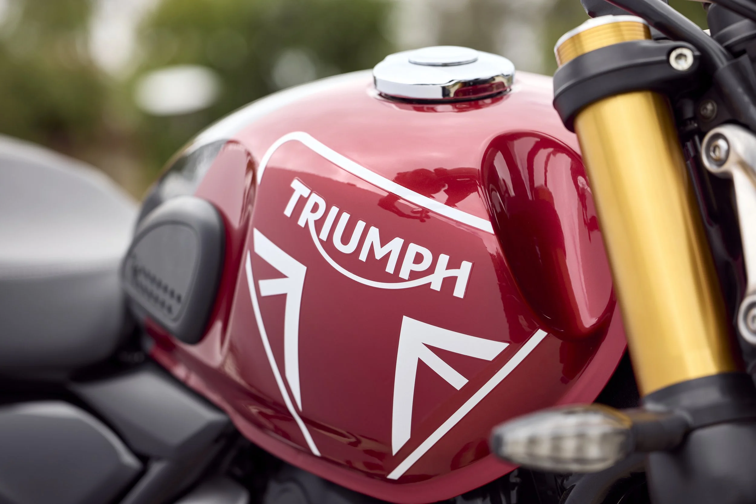 Triumph Speed 400 Details 7.jpg