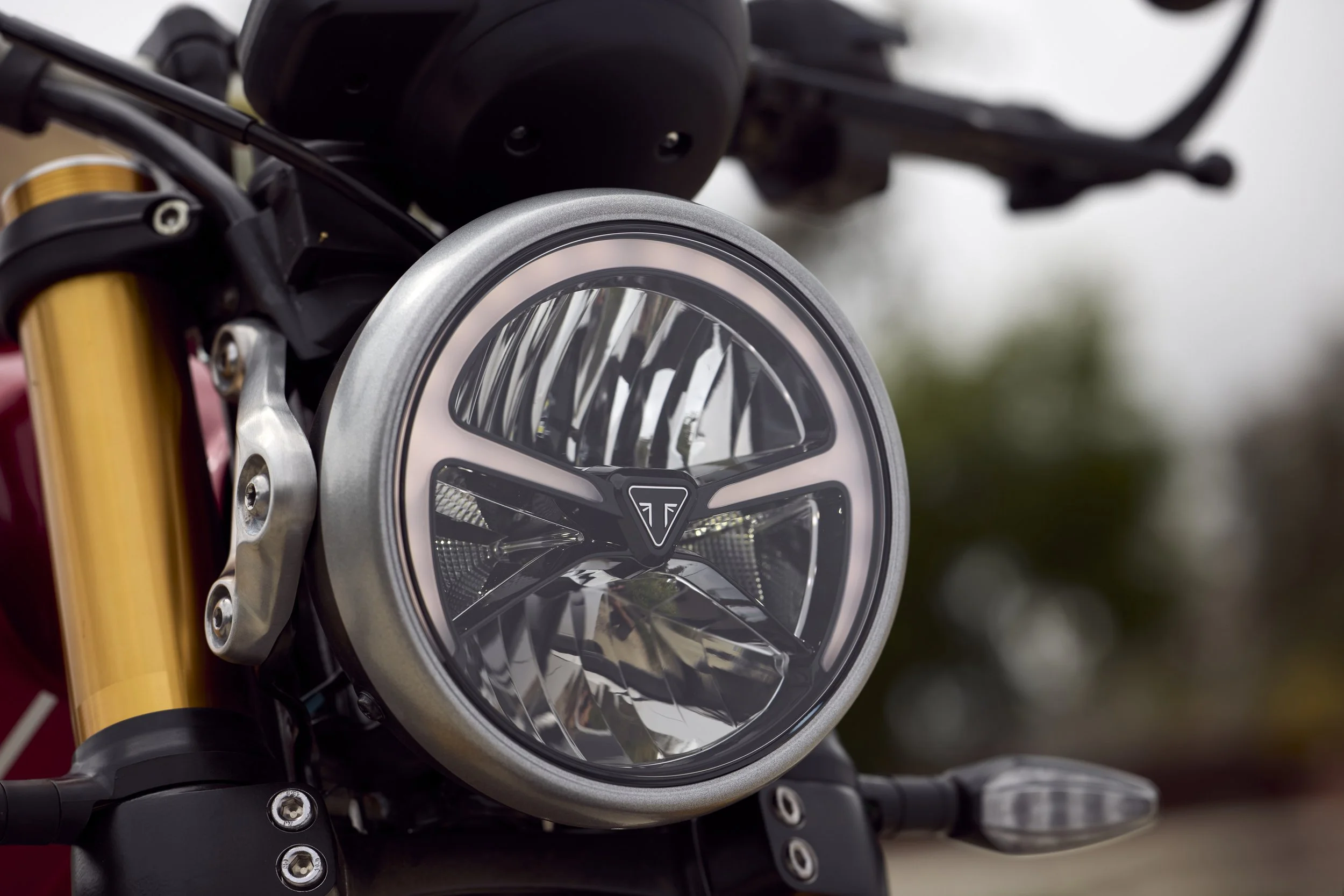 Triumph Speed 400 Details 8.jpg