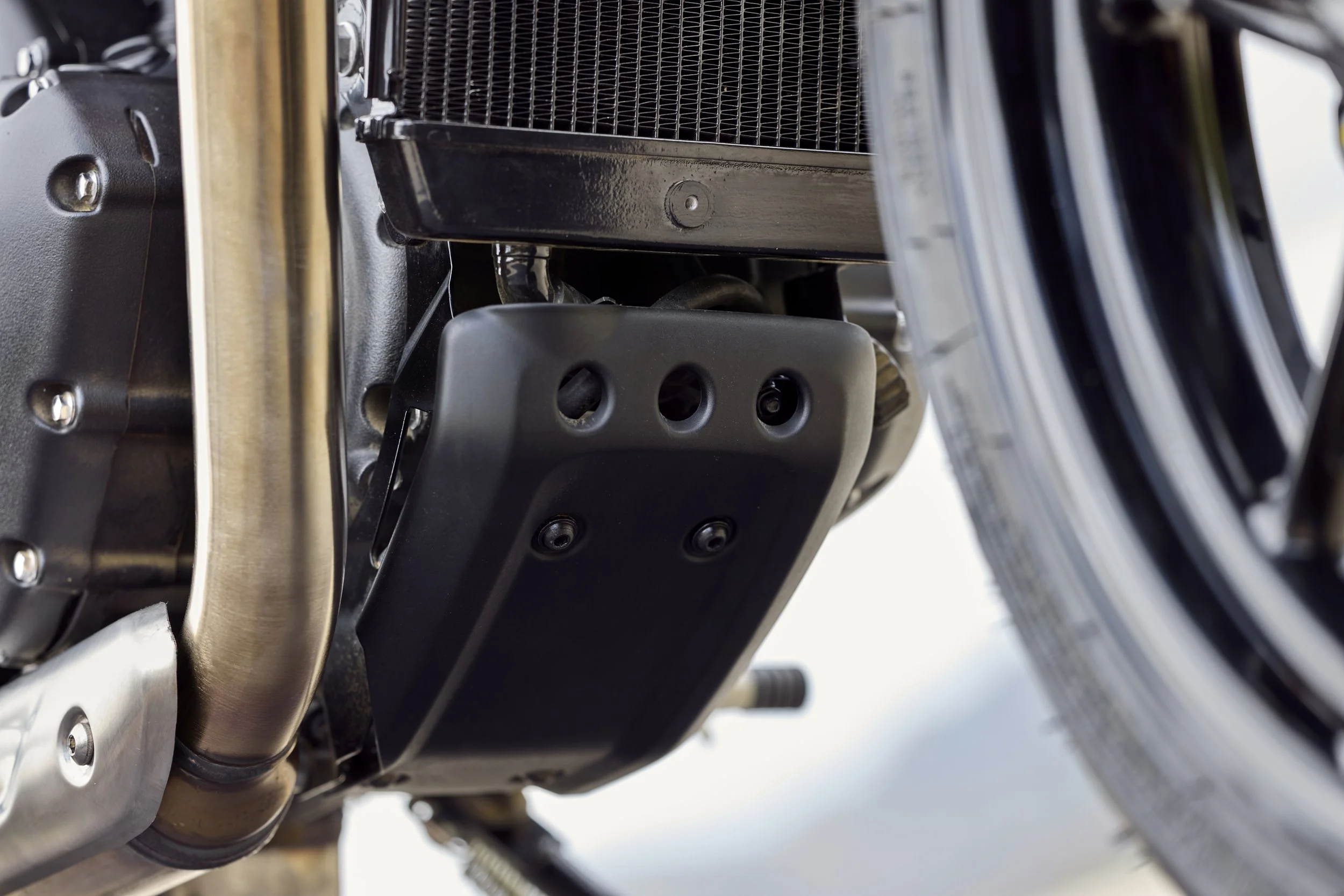 Triumph Speed 400 Details 4.jpg