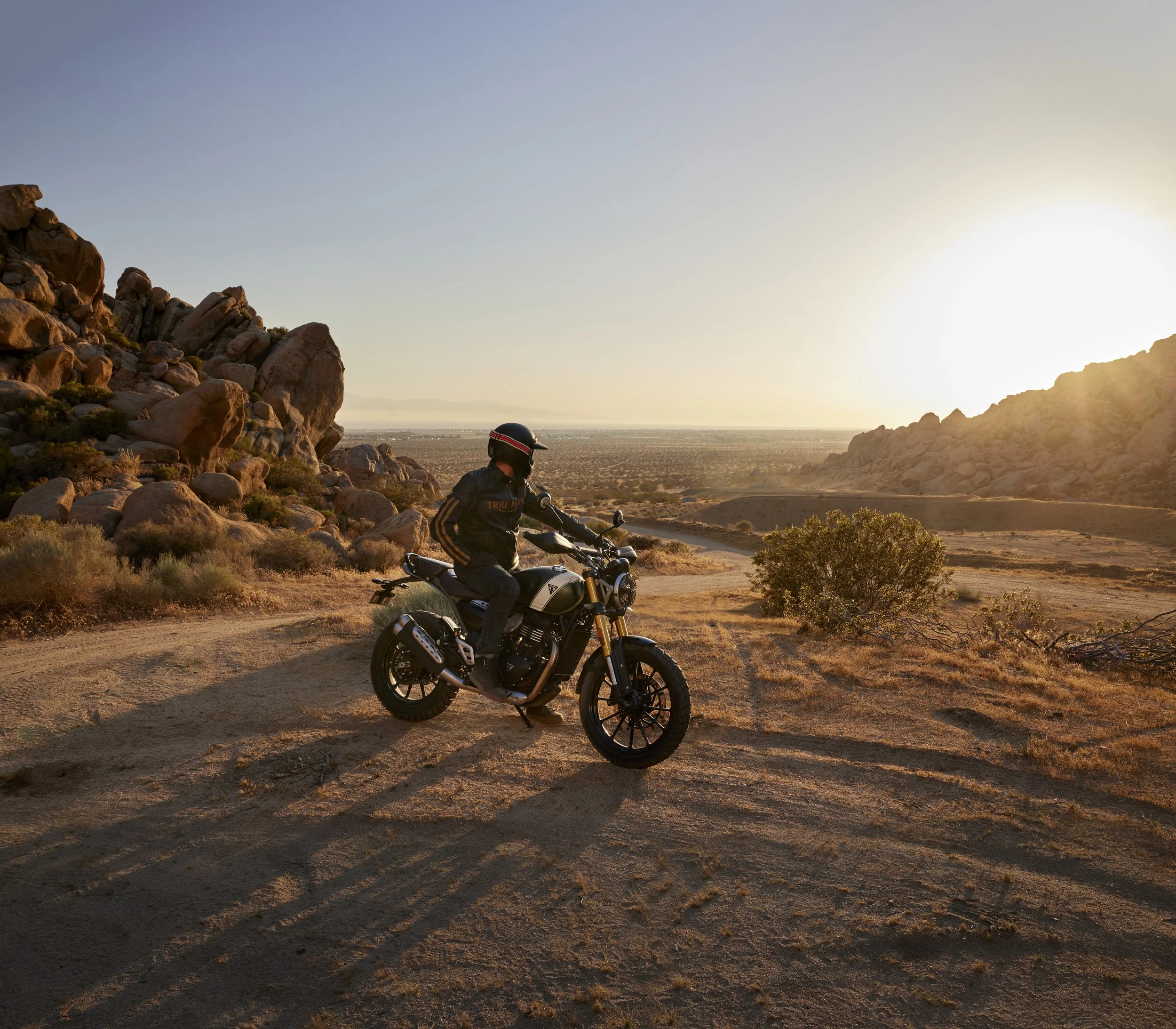 Triumph Scrambler 400 X Static 6.jpg
