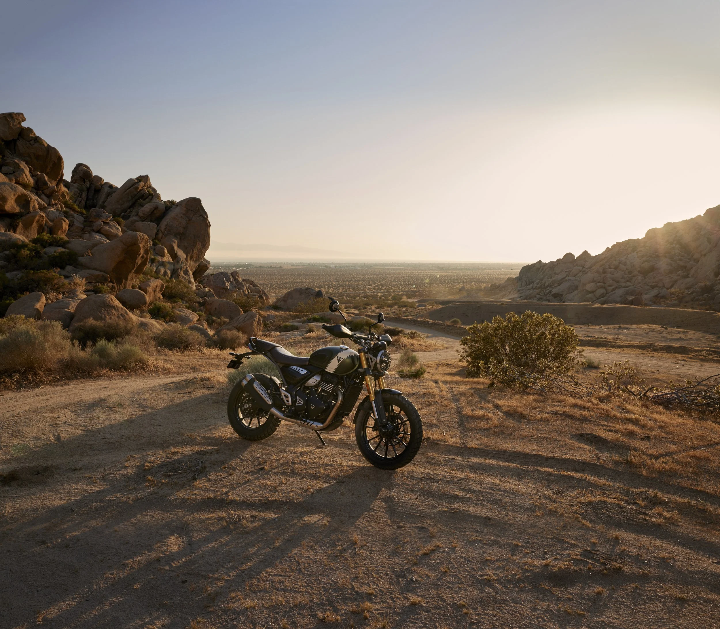 Triumph Scrambler 400 X Static 5.jpg