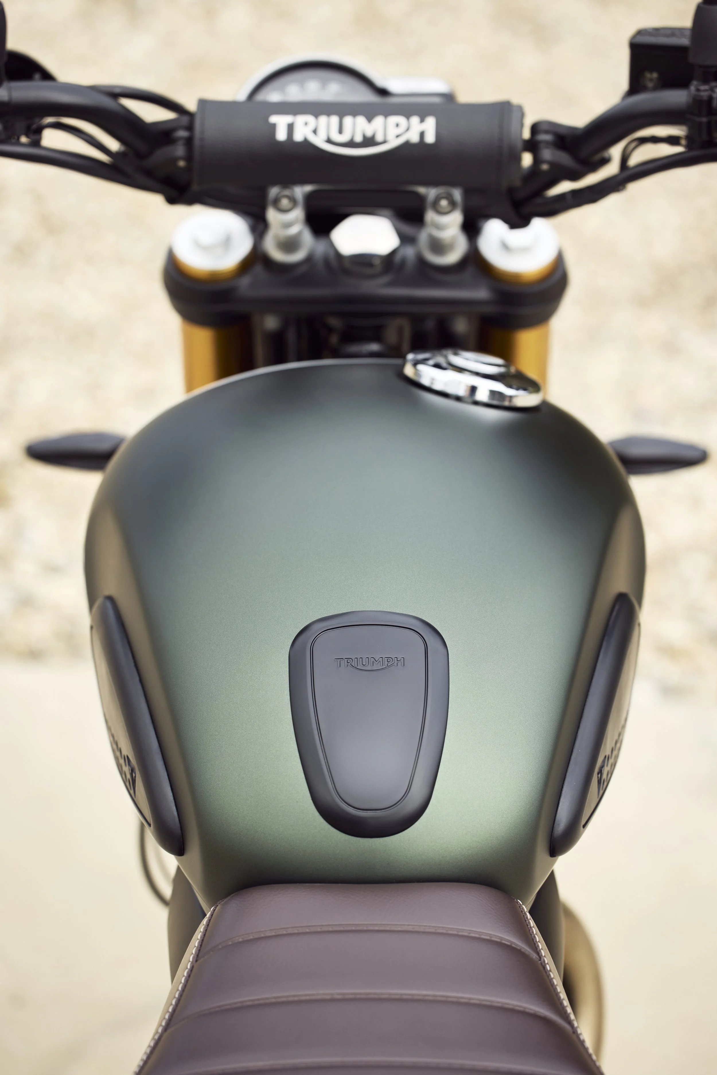 Triumph Scrambler 400 X Details 5.jpg