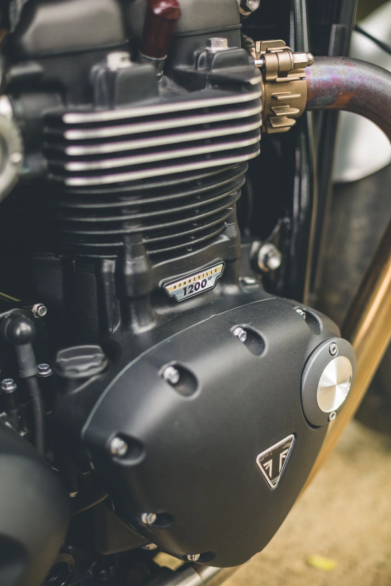 Triumph Twin FULL-04.jpg