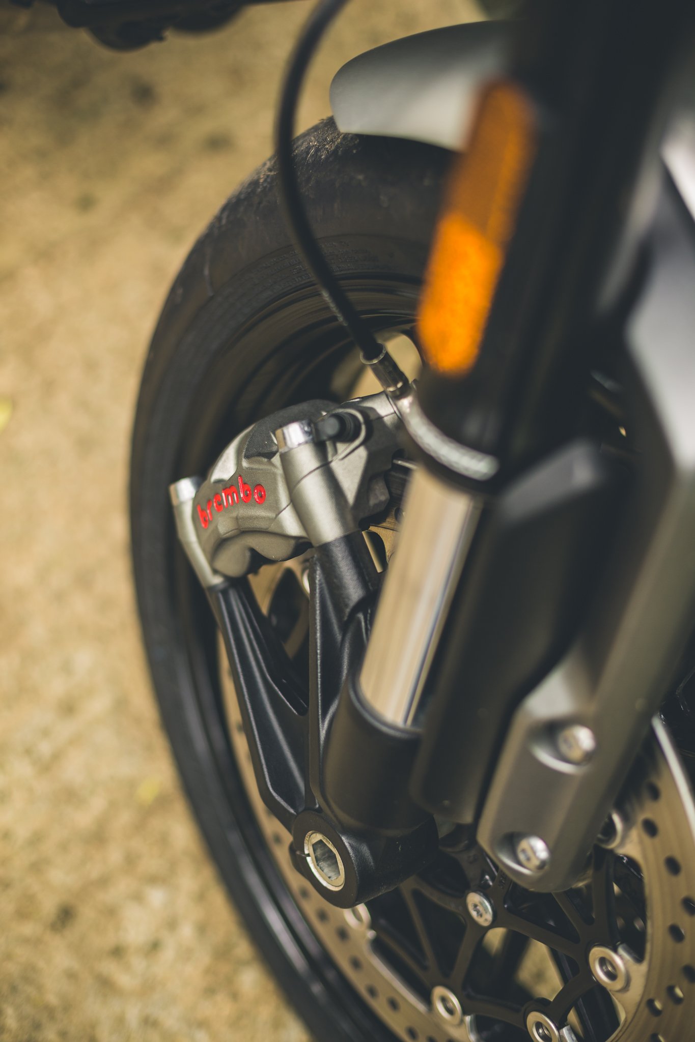 Triumph Twin FULL-06.jpg