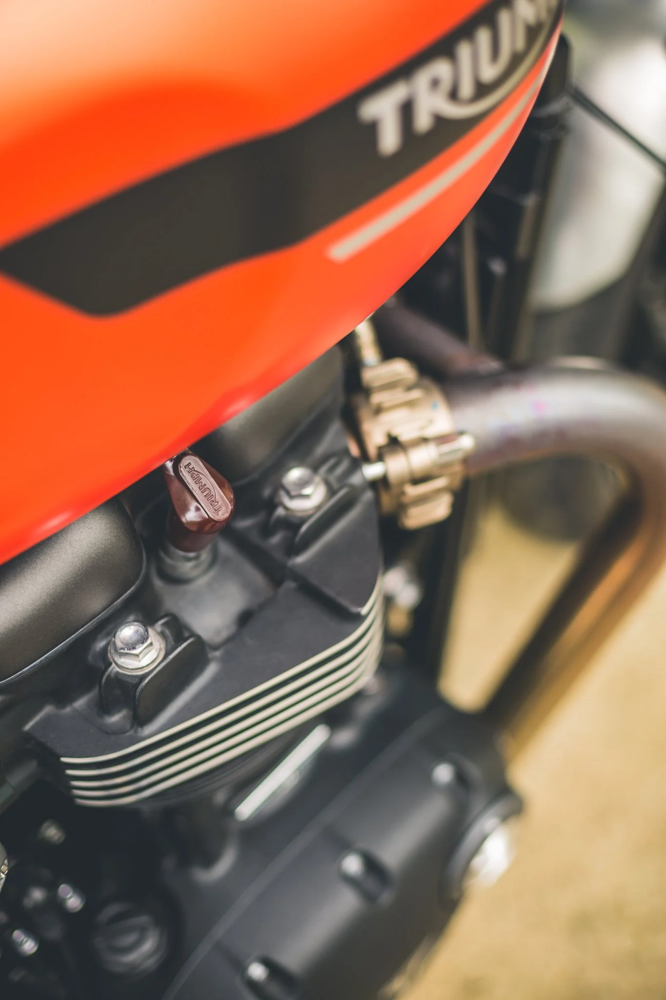 Triumph Twin FULL-09.jpg