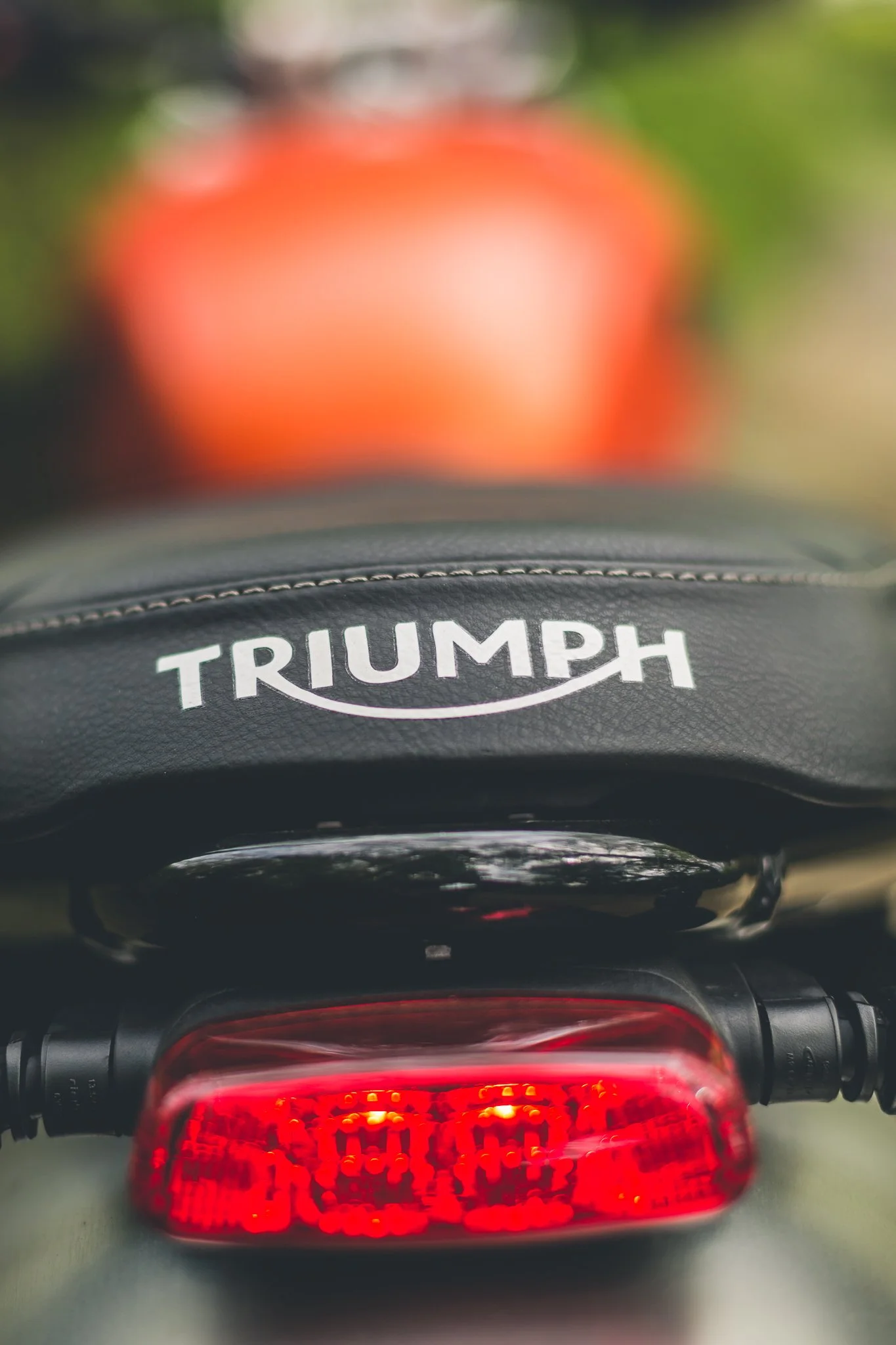 Triumph Twin FULL-11.jpg