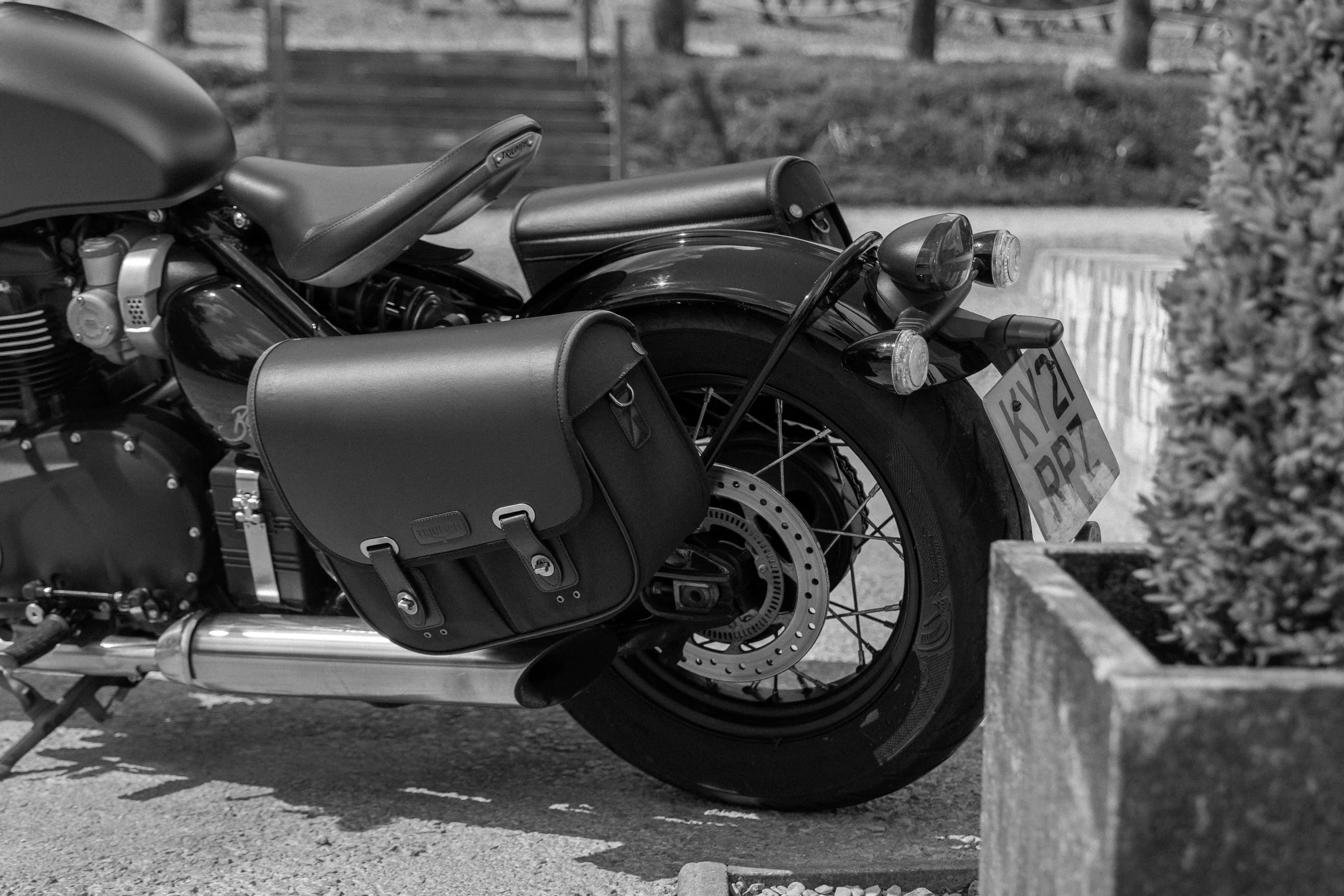 Triumph-3.jpg