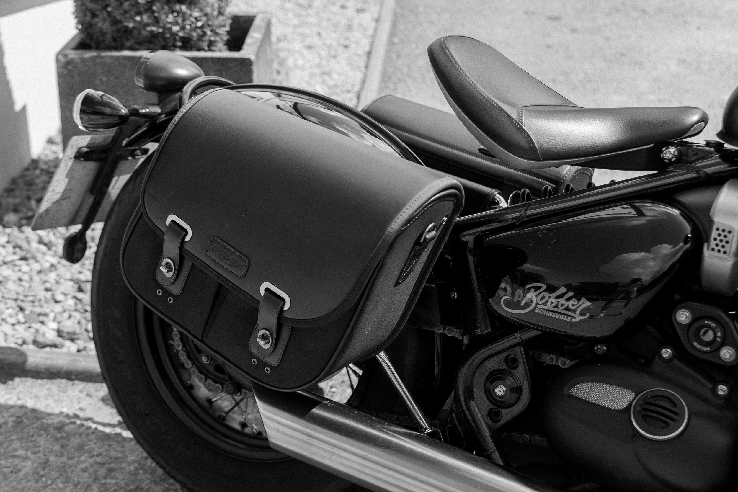 Triumph-5.jpg