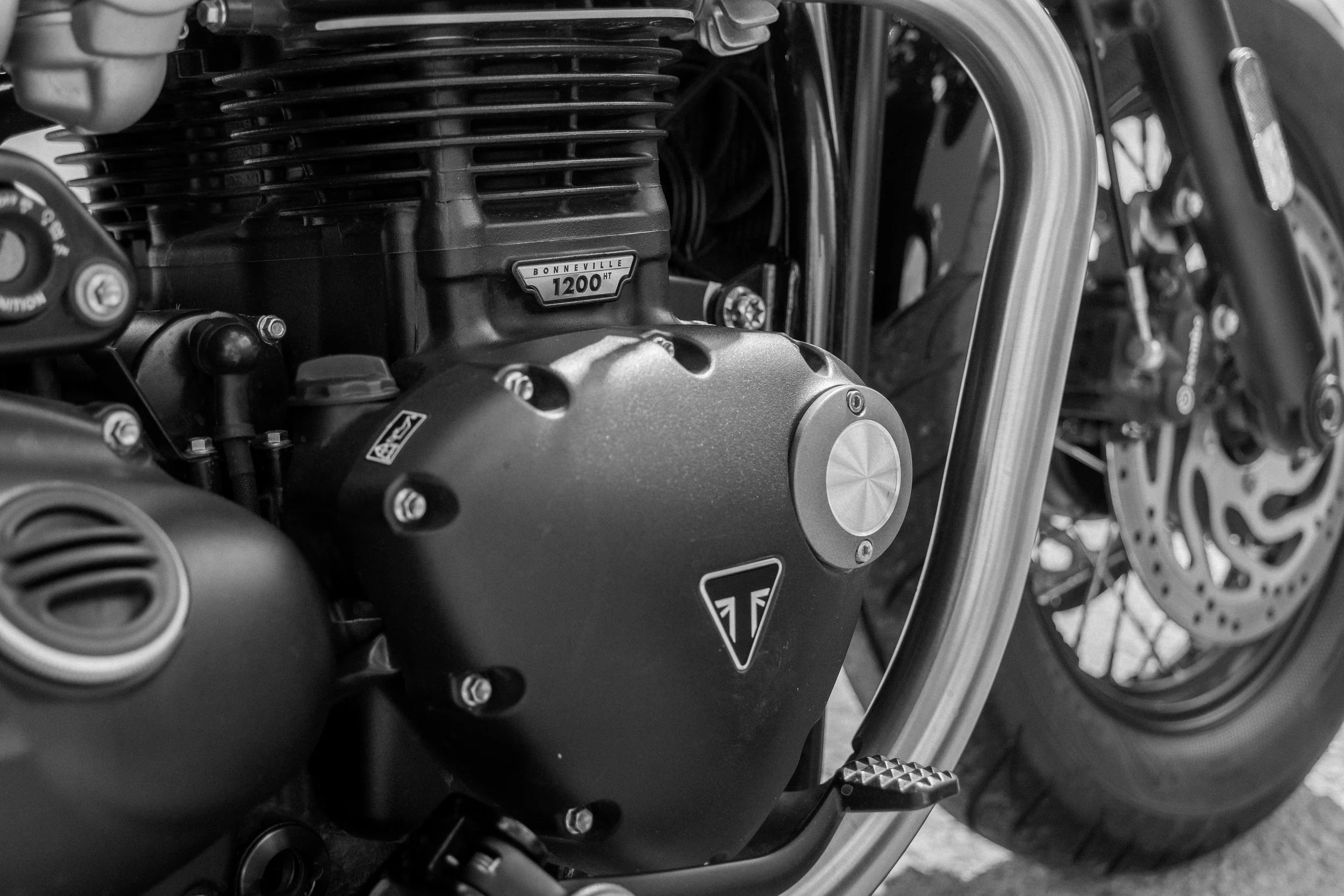 Triumph-6.jpg
