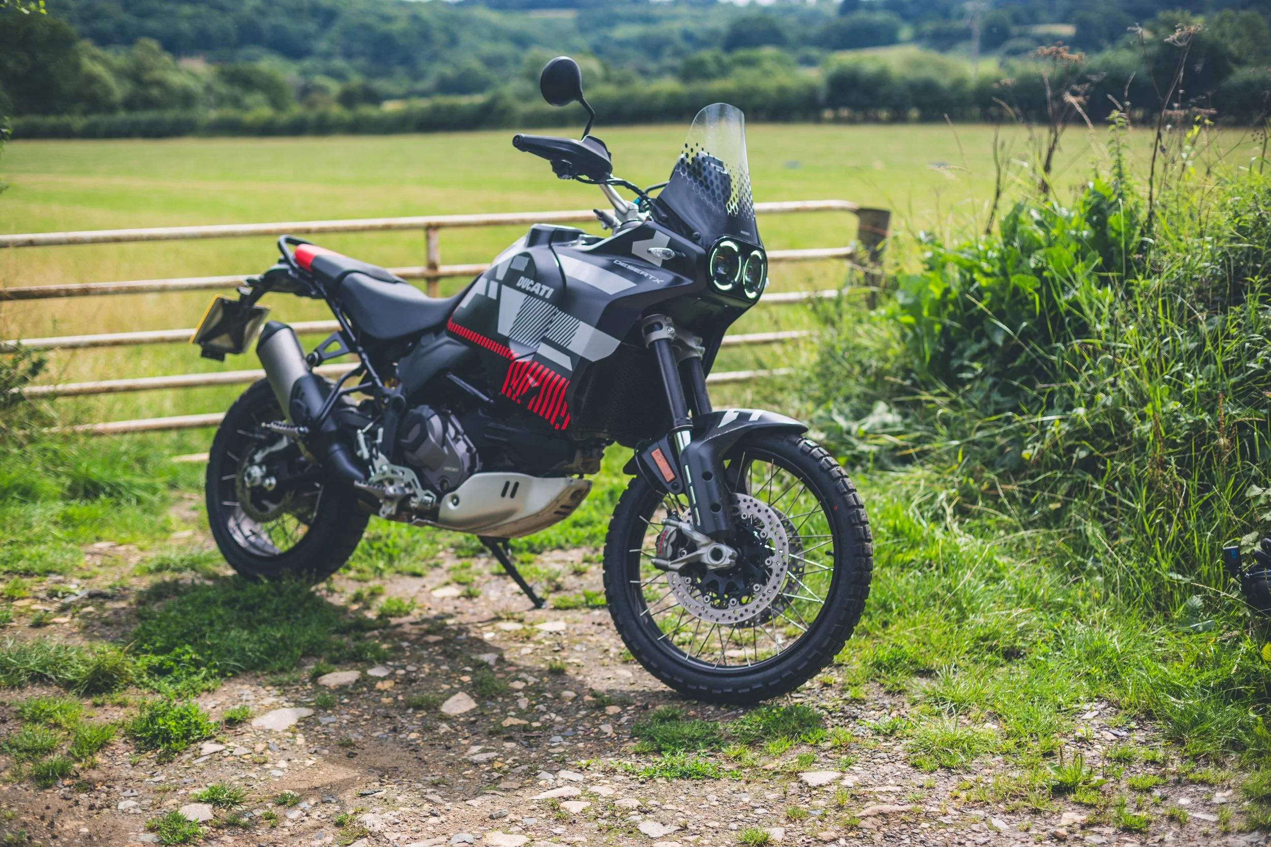 Ducati Desert X-36.jpg