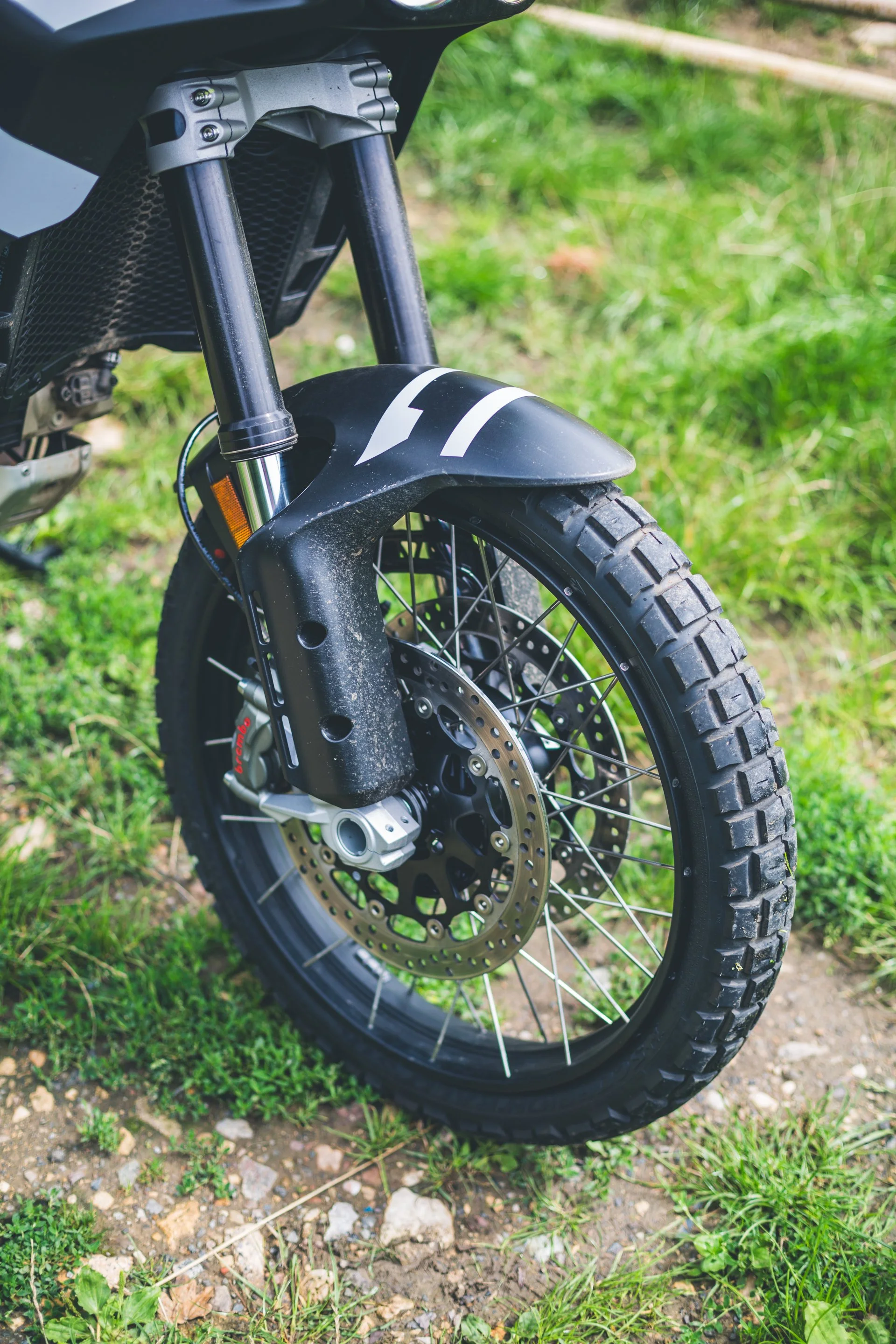 Ducati Desert X-19.jpg