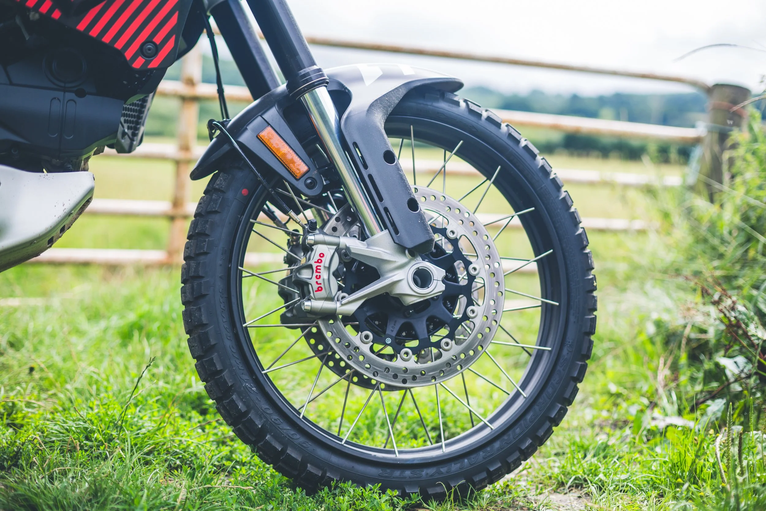 Ducati Desert X-42.jpg