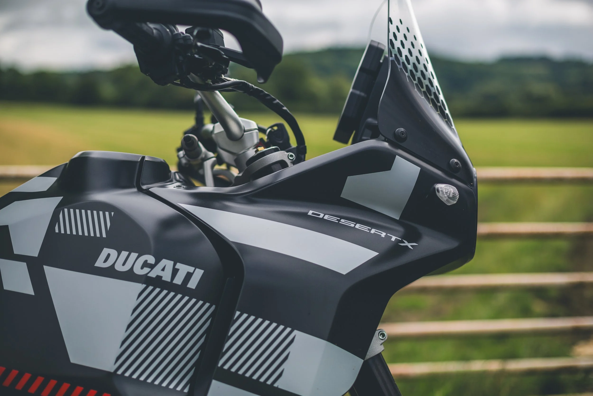 Ducati Desert X-14.jpg