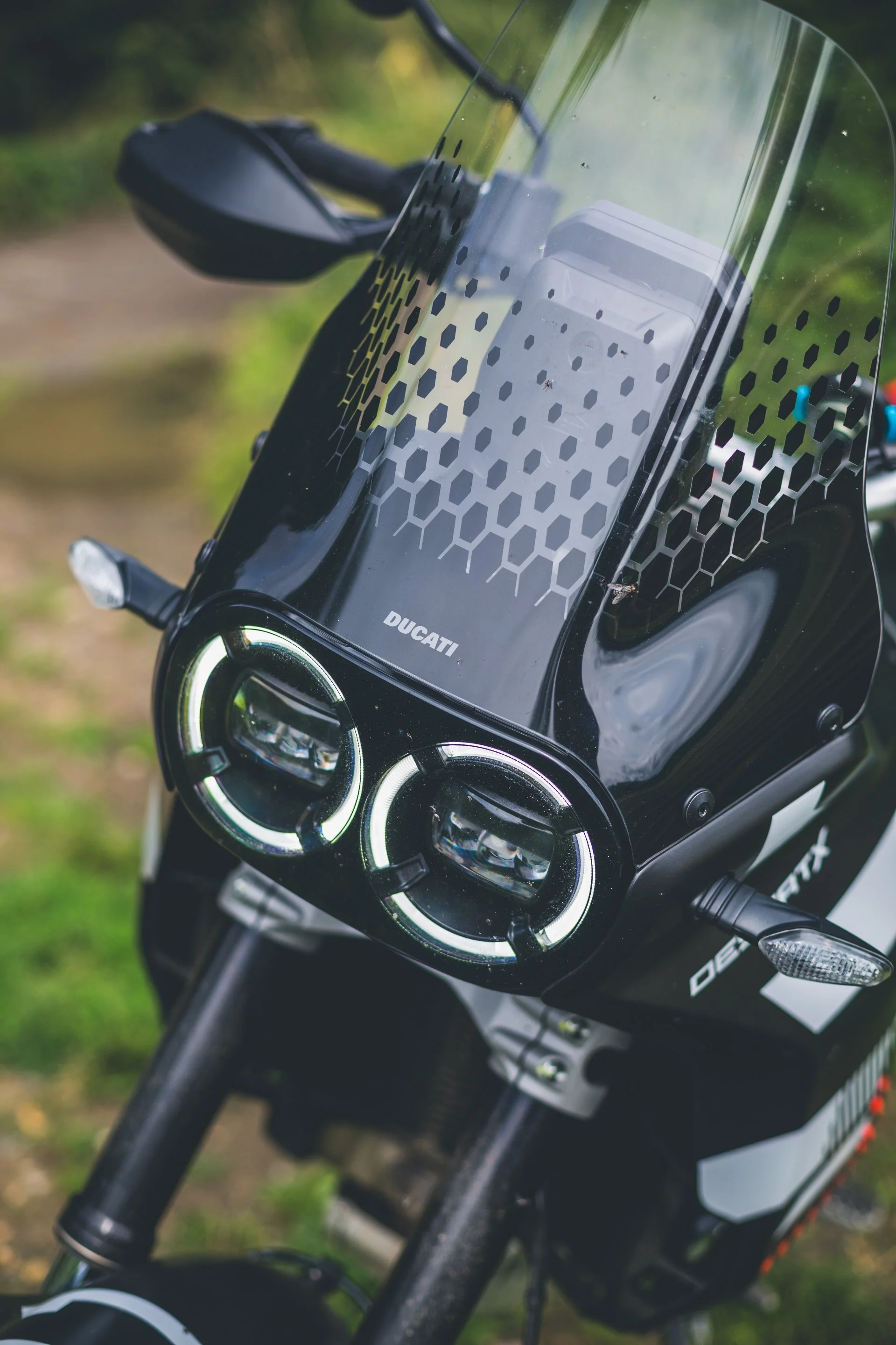 Ducati Desert X-39.jpg