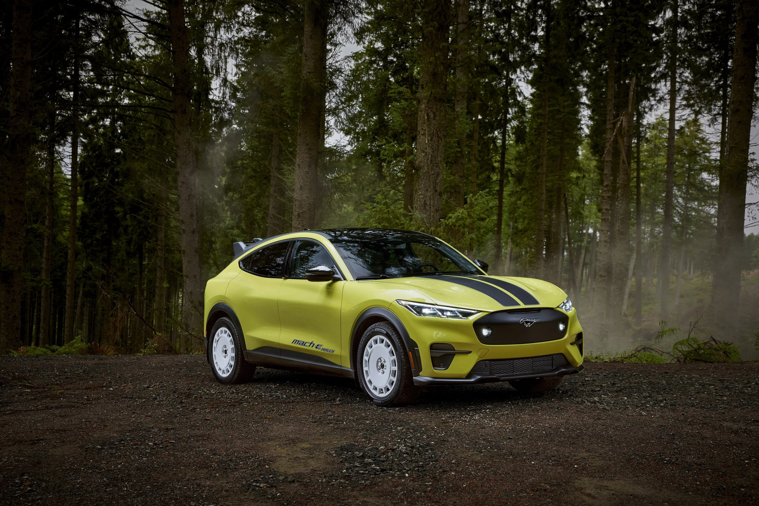 Ford Mustang Mach-E Rally Revealed in Munich