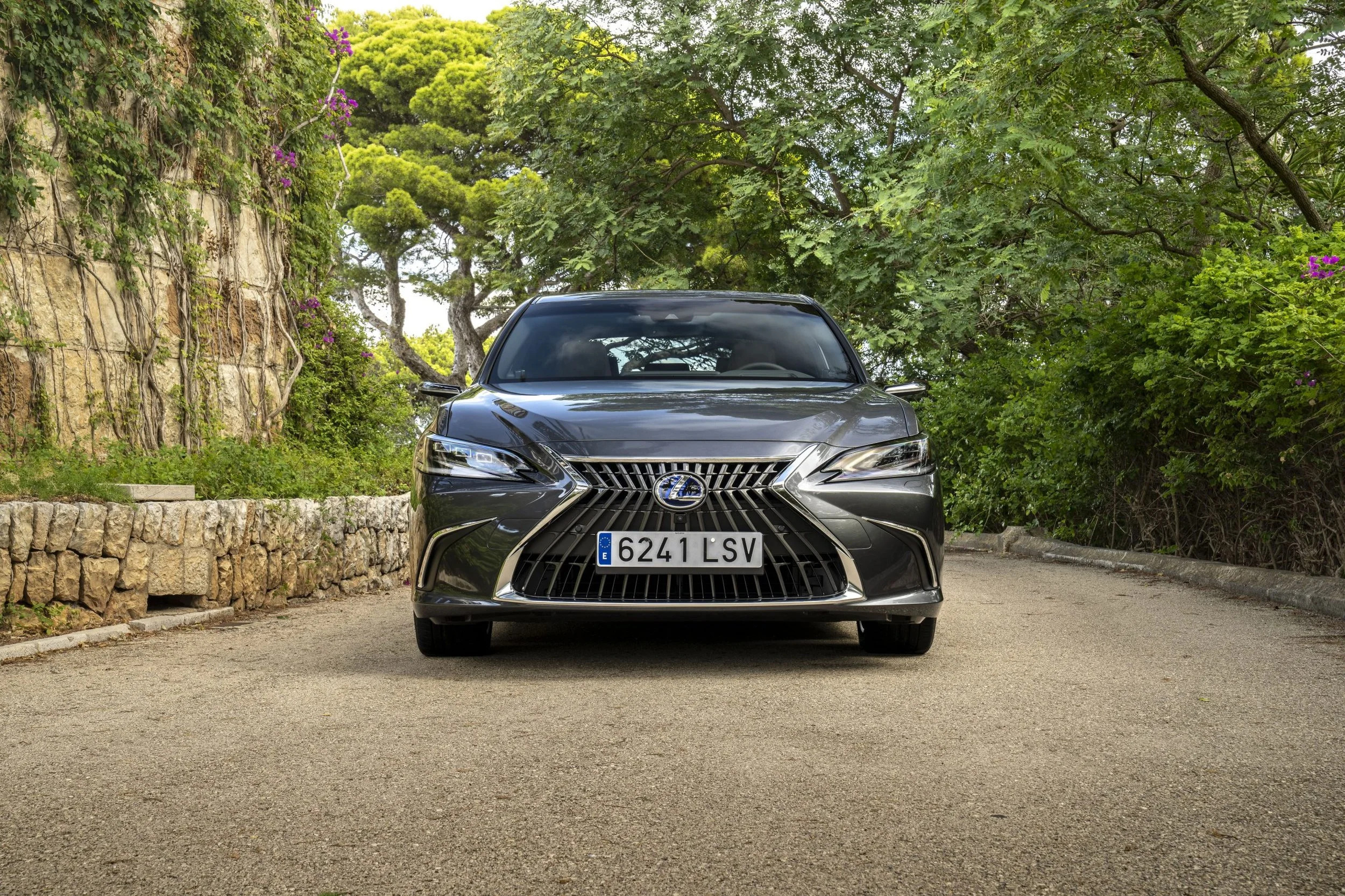 Lexus ES 300h (10).jpg