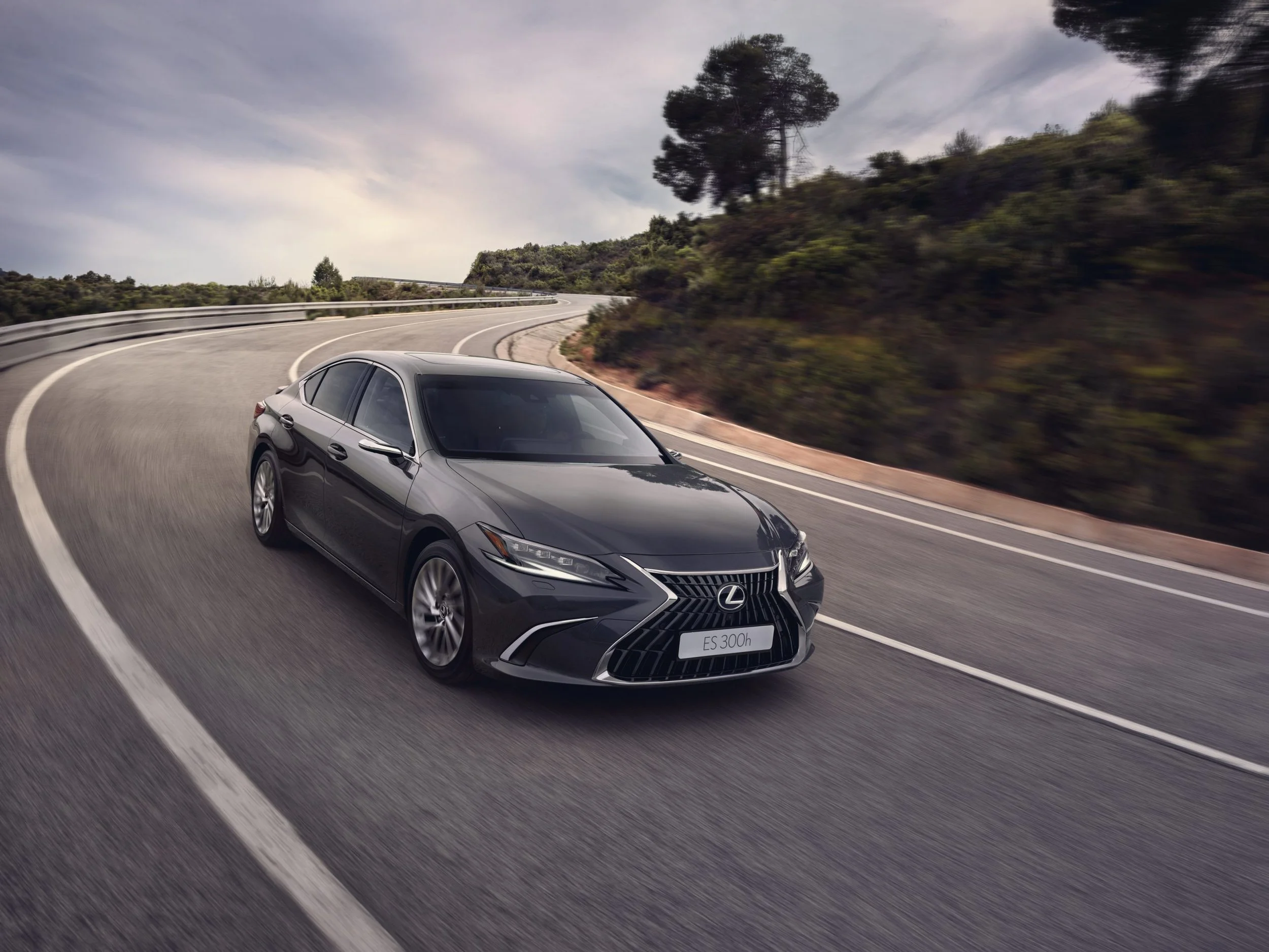 Lexus ES 300h (12).jpg