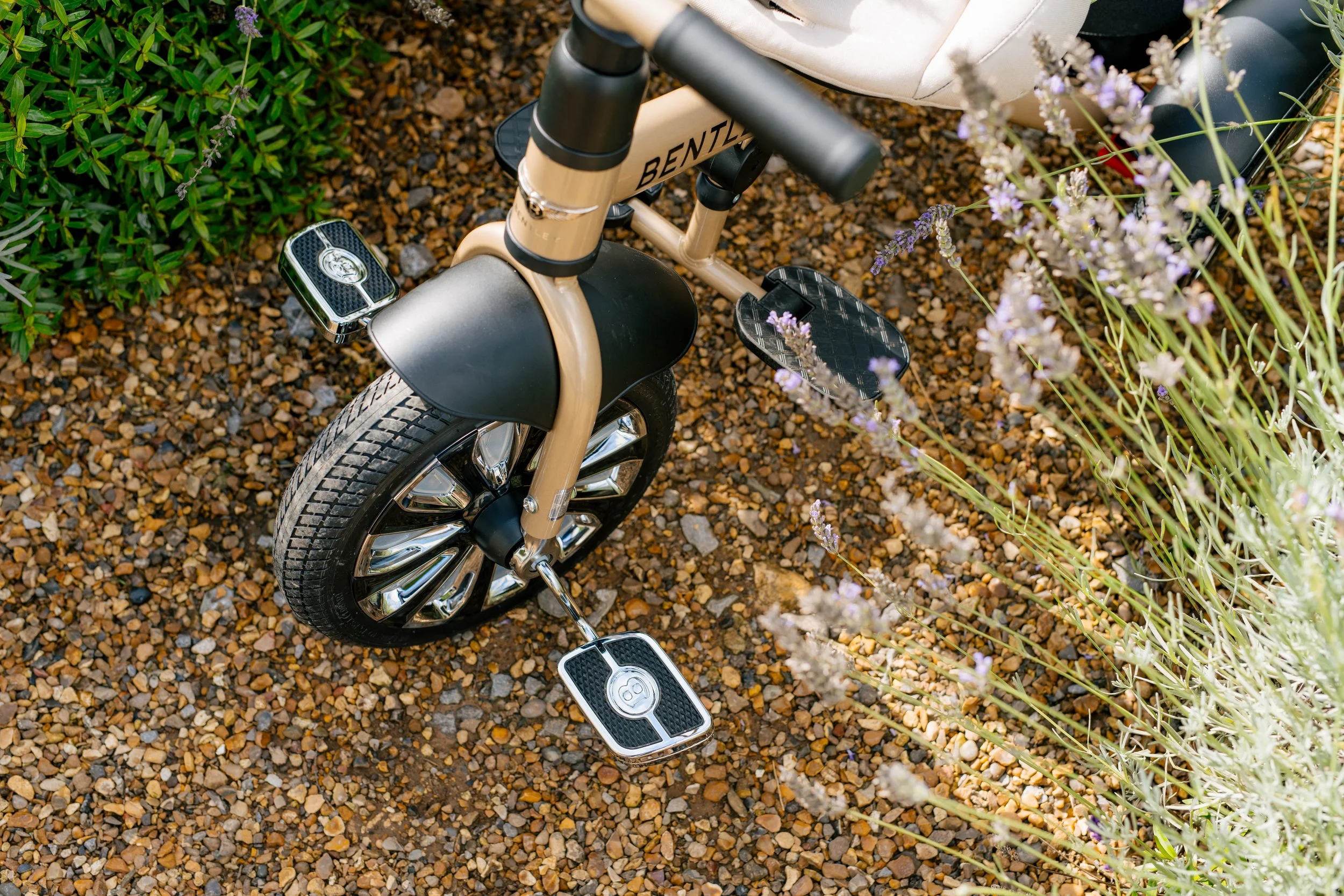 MullinerTrike-3.jpg