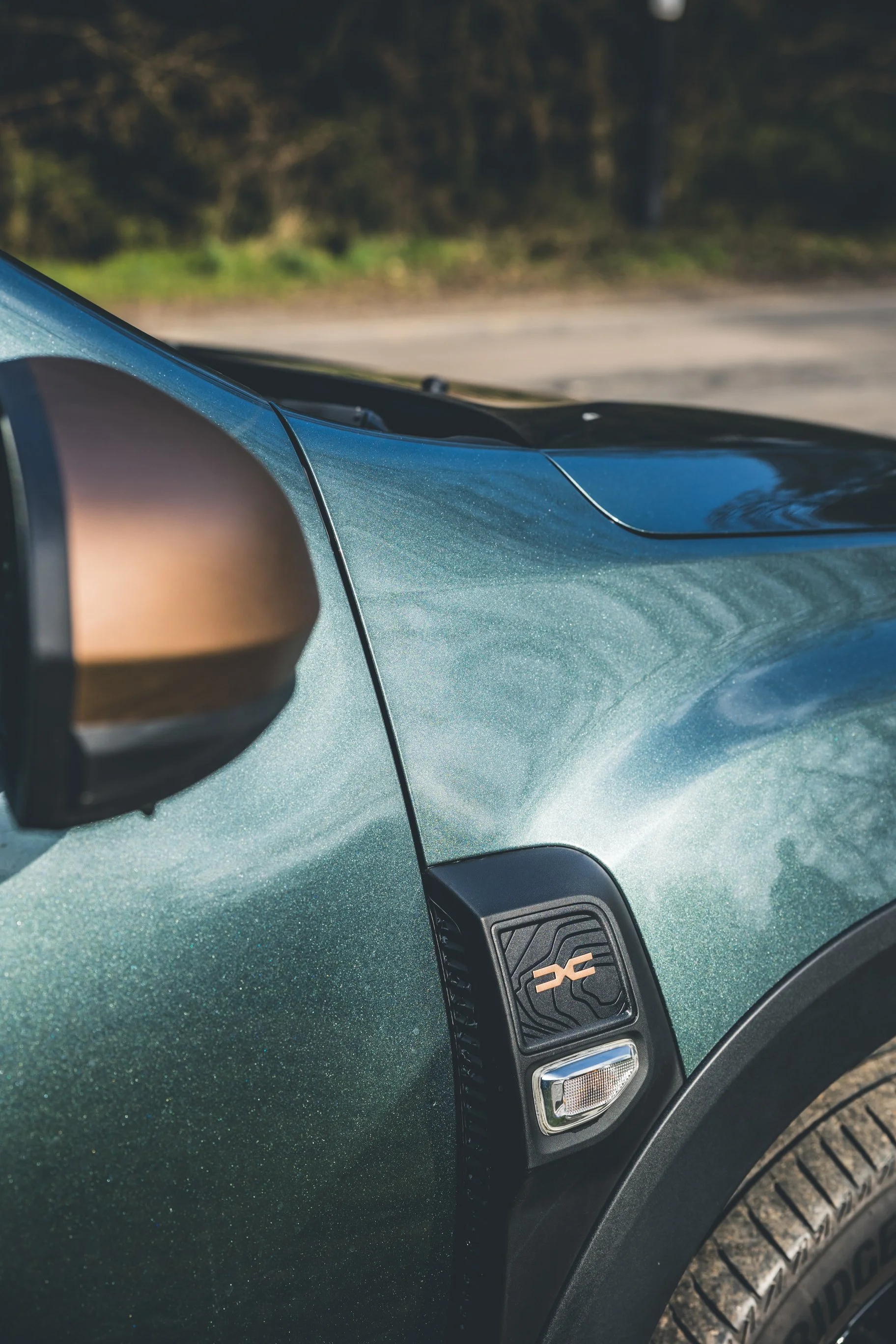 Dacia Duster Bio-40.jpg