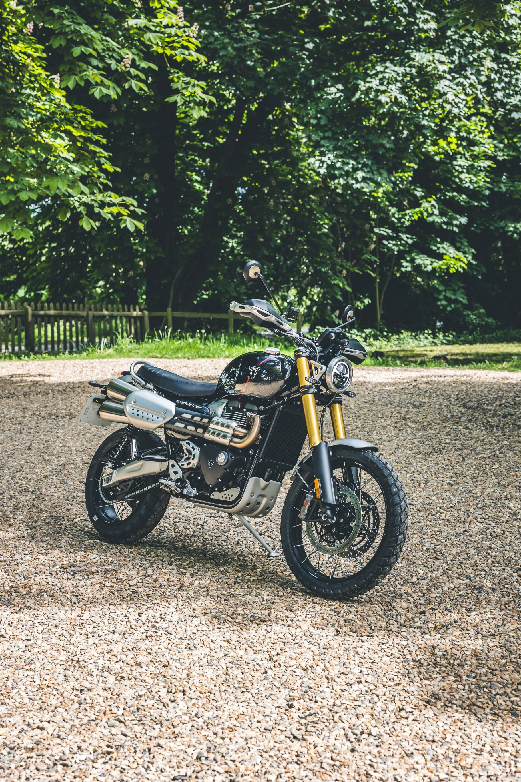 Triumph Scrambler XE00019.jpg