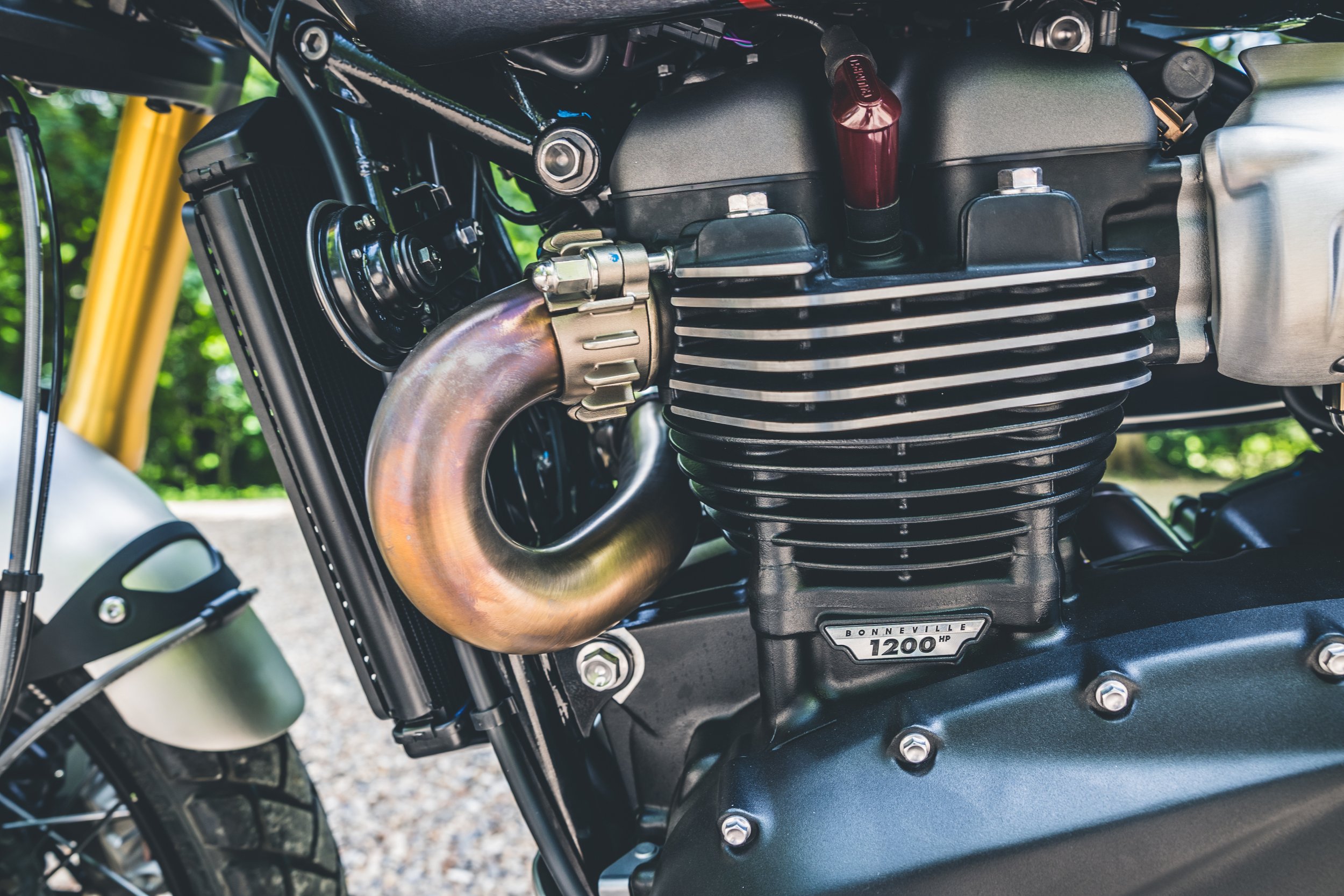 Triumph Scrambler XE00012.jpg