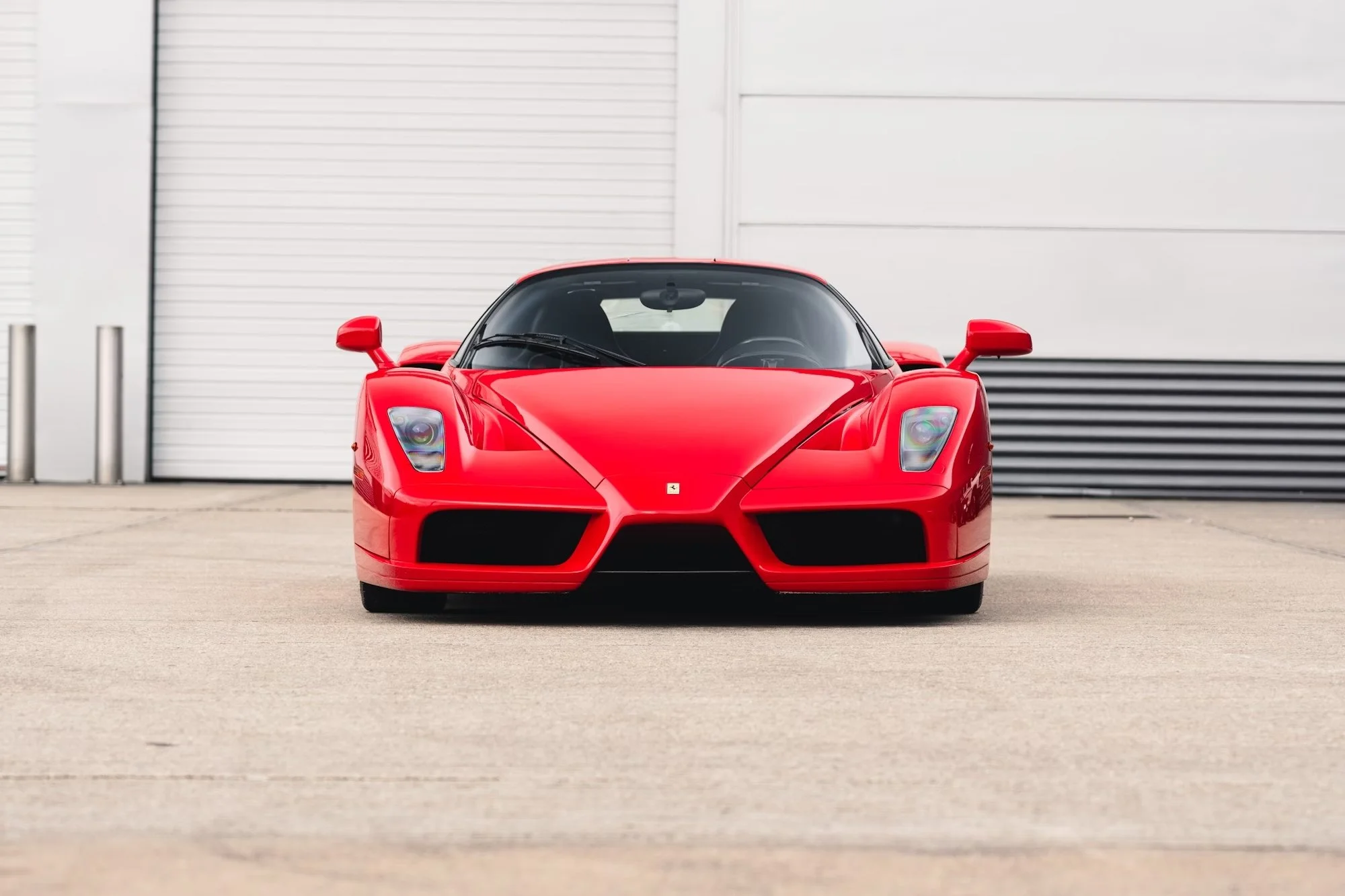 Enzo front.jpg