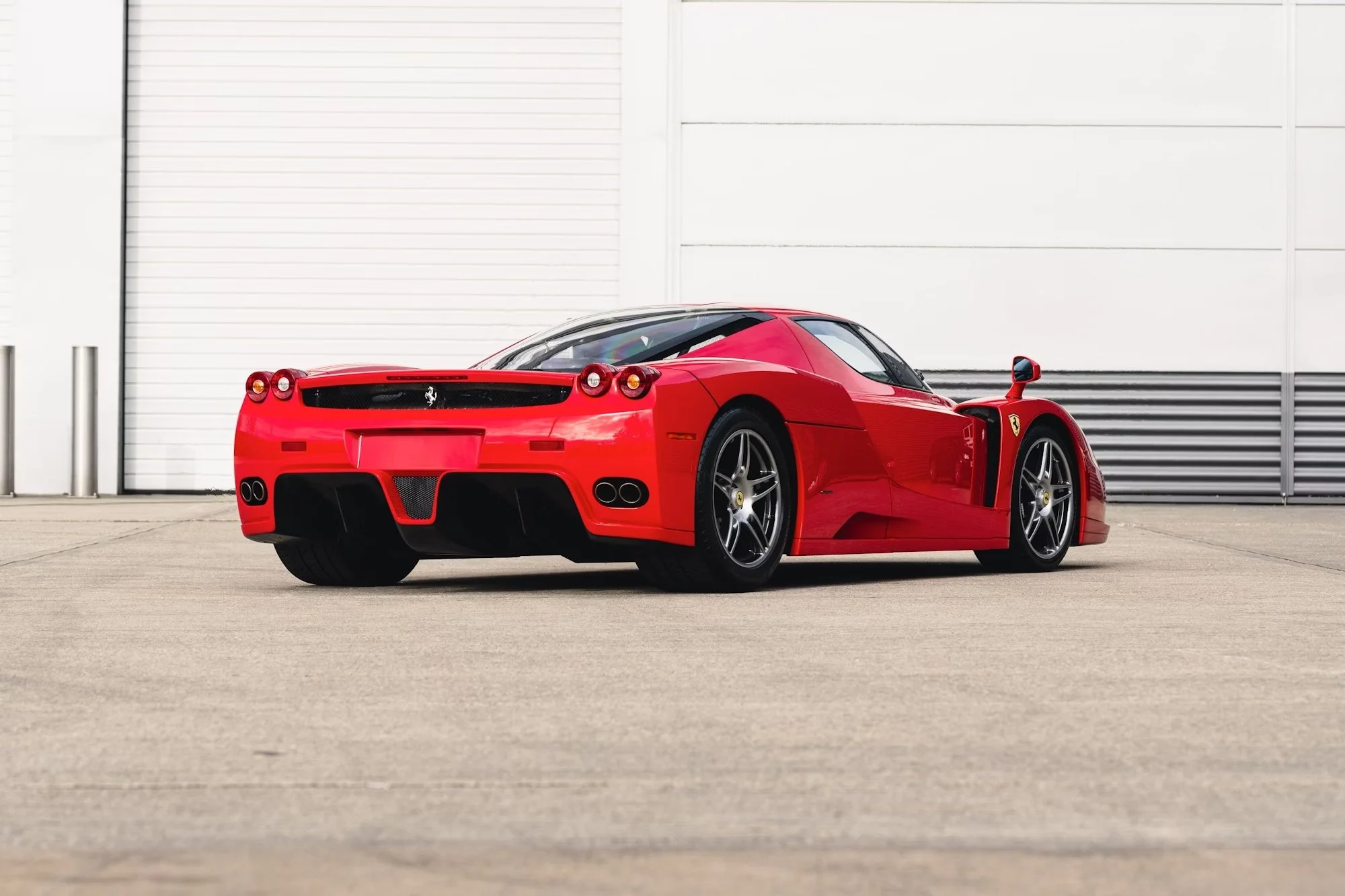 Enzo rear.jpg