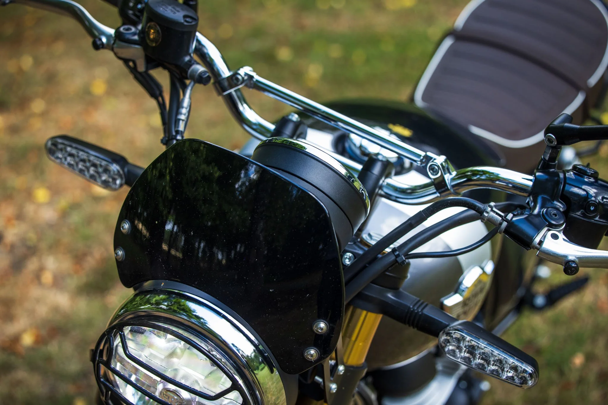 Bear 650-11.jpg