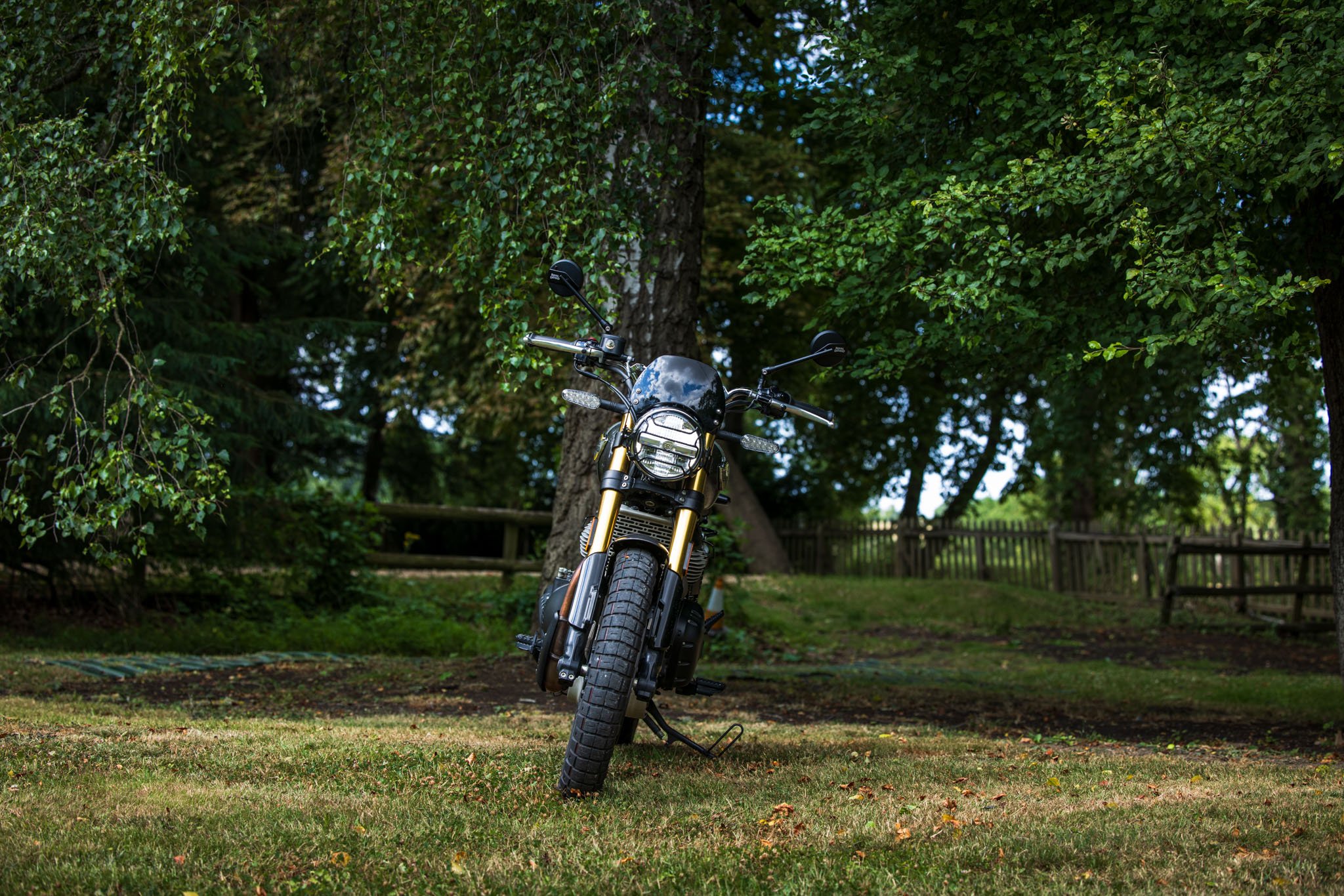 Bear 650-31.jpg