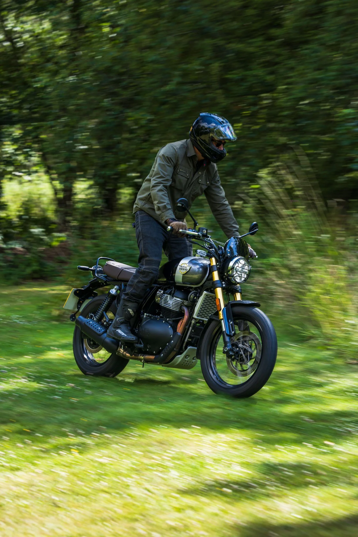 Bear 650-05.jpg