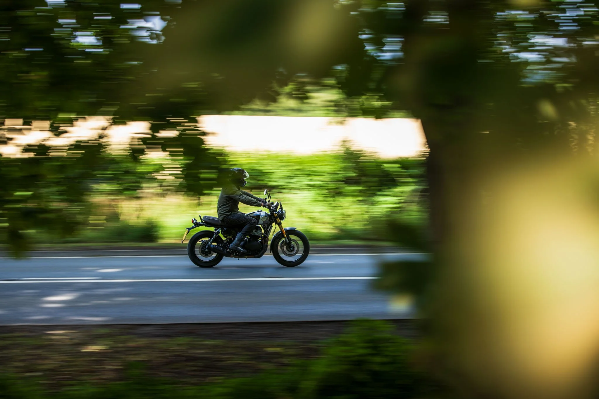 Bear 650-03.jpg