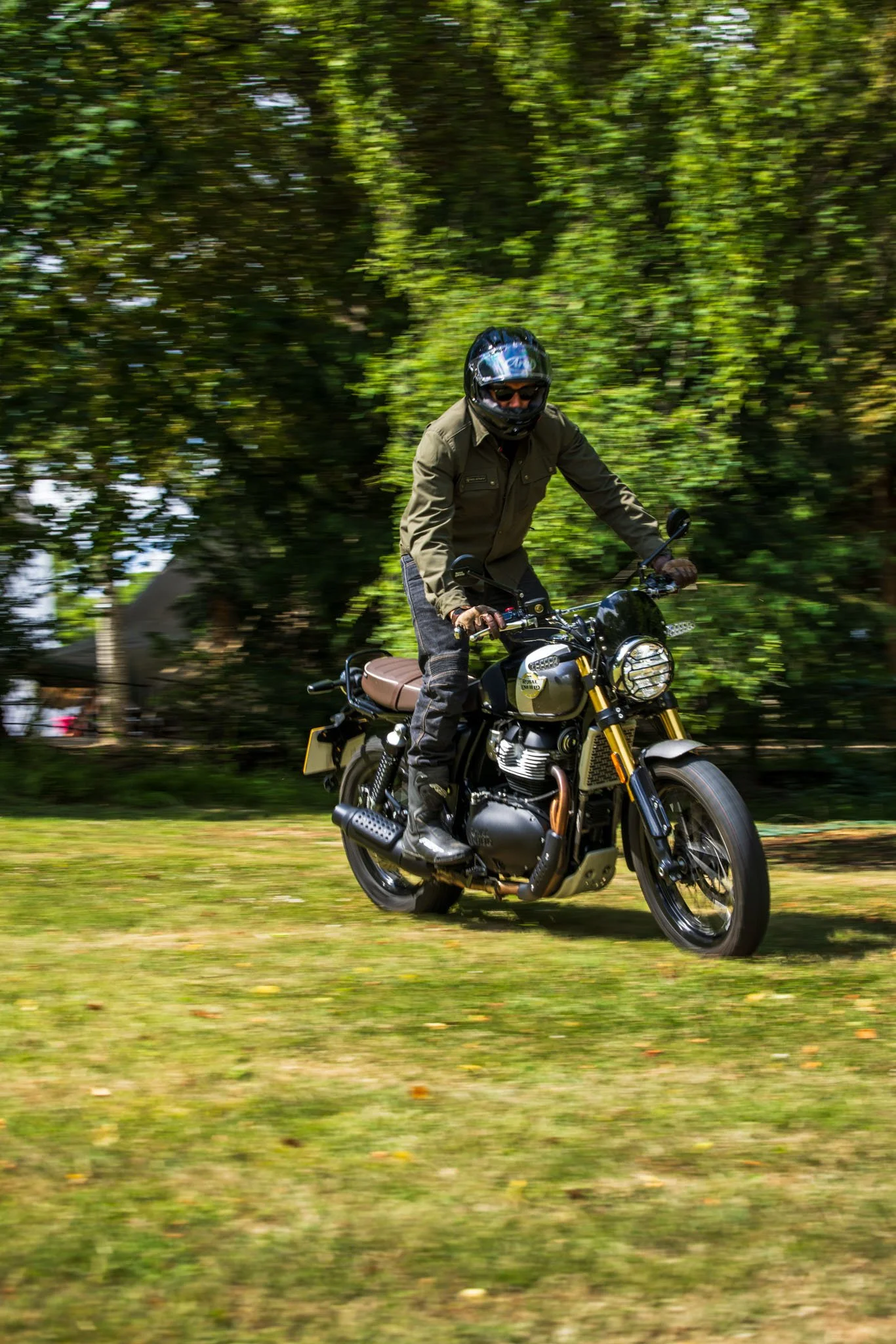 Bear 650-06.jpg