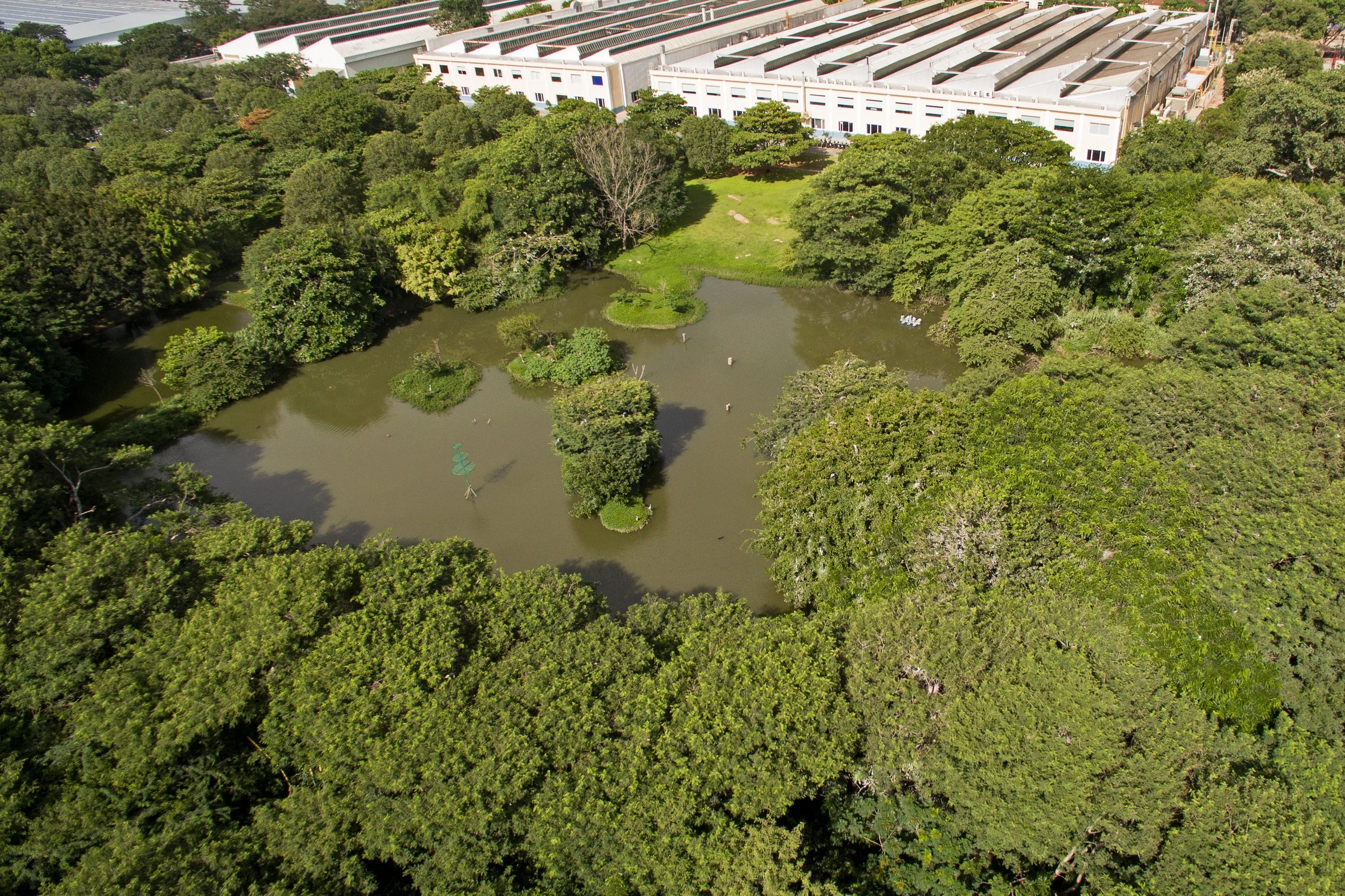 Biodiversity park 3.jpg