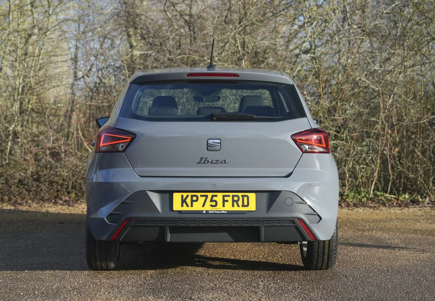 SEAT Ibiza (8).jpg