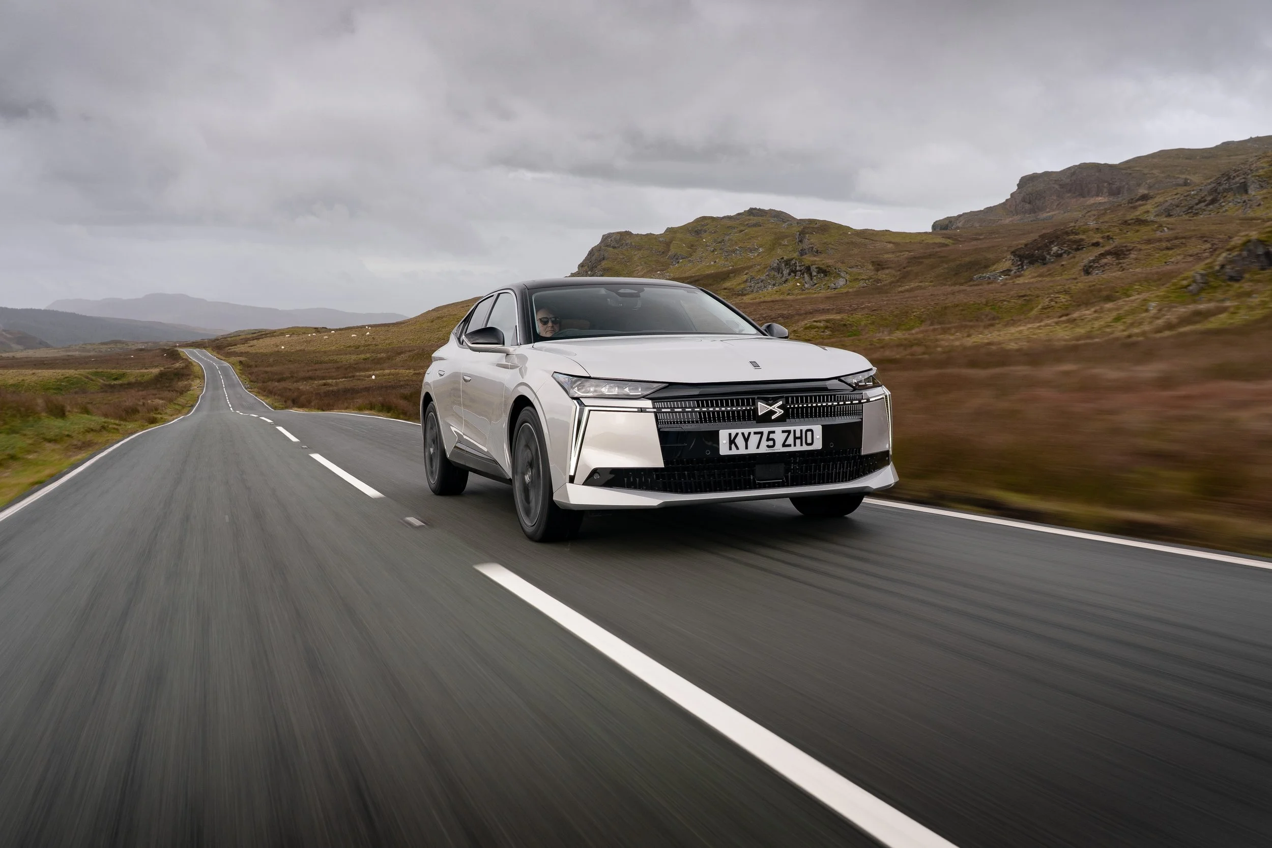 DS No 4 - Standing Out From The Crowd