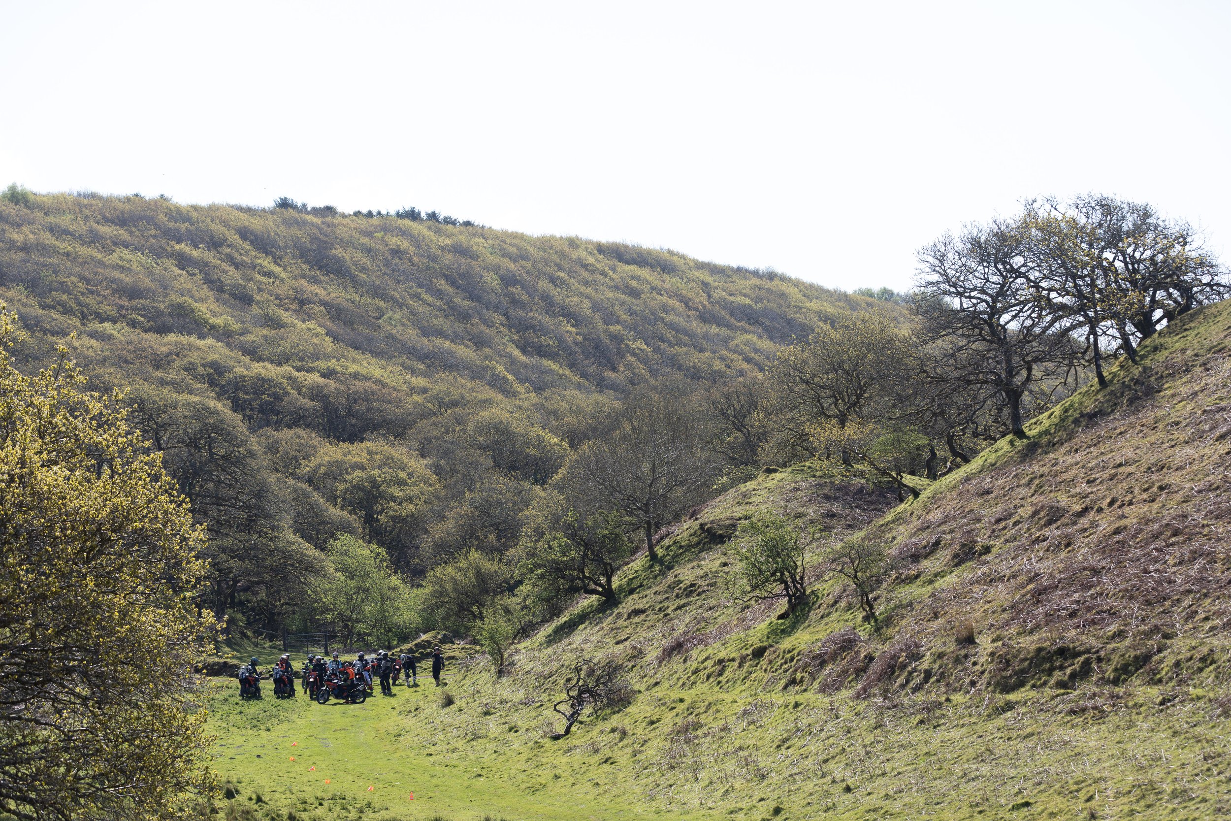 CWR14365.jpg