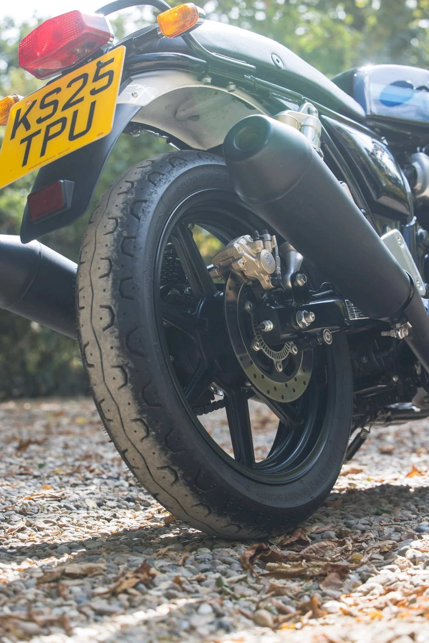 650 RE-49.jpg