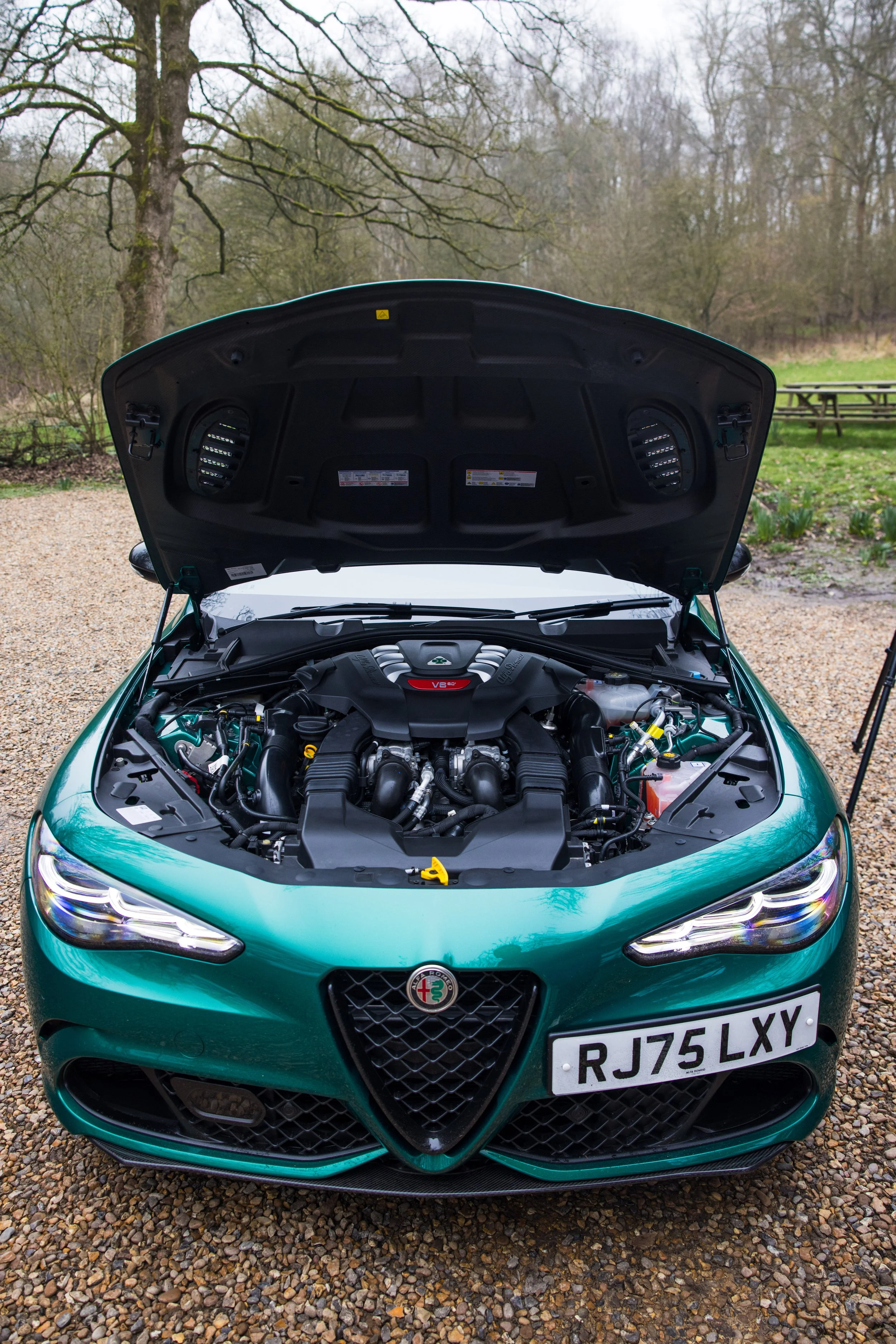 Alfa Romeo Giulia Quadrifoglio Engine 2026