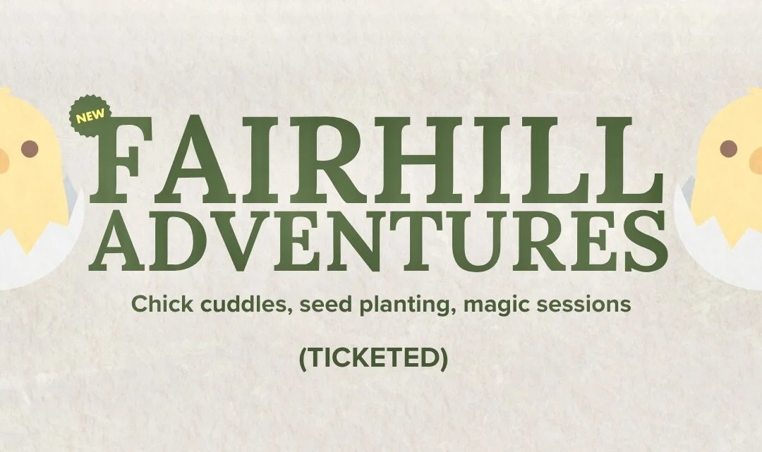 FAIRHILLADVENTURES