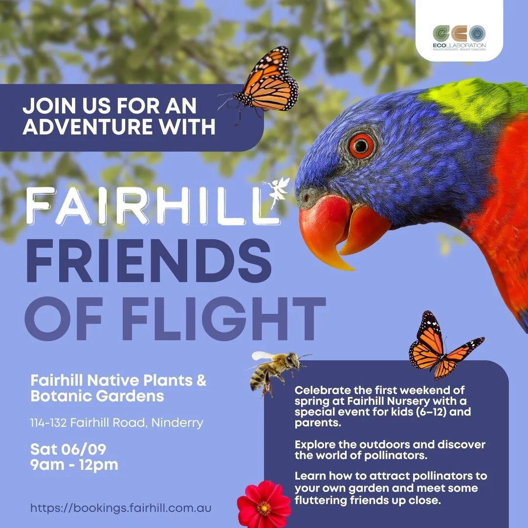 FAIRHILL FRIENDS OF FLIGHT