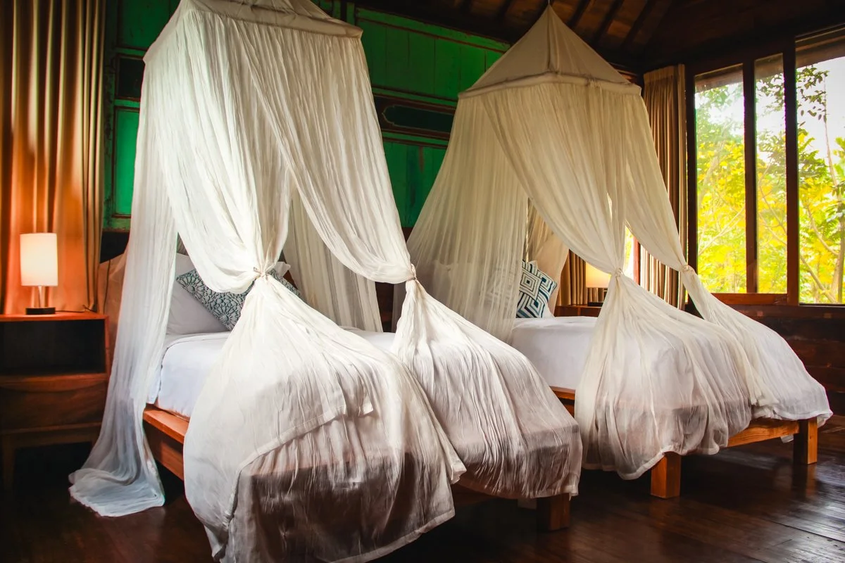 Gladack Twin  - 2 IMG_5222.JPG