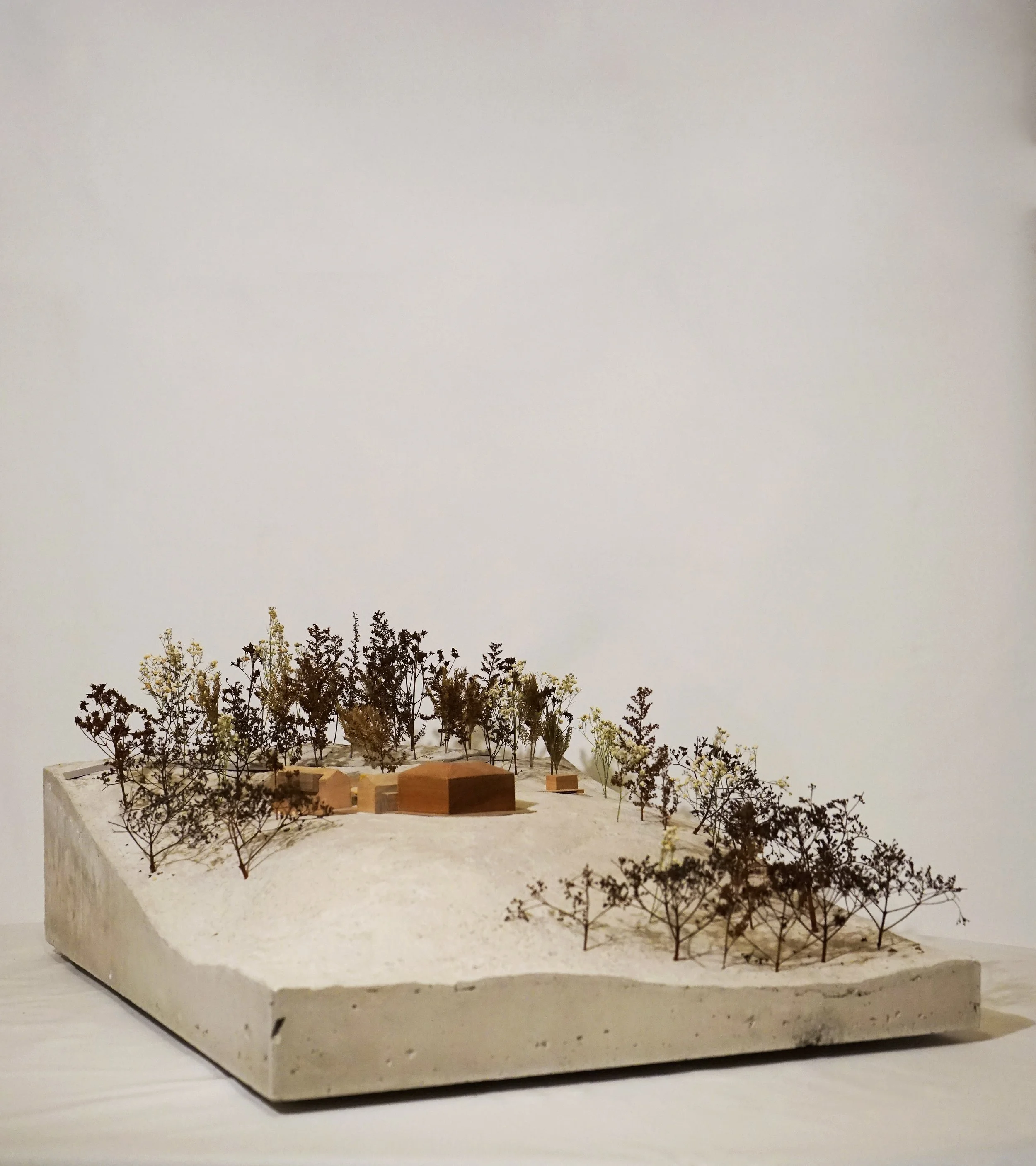 Miniature architectural model with small trees, miniature buildings, and a flat, white surface base, set against a plain background.