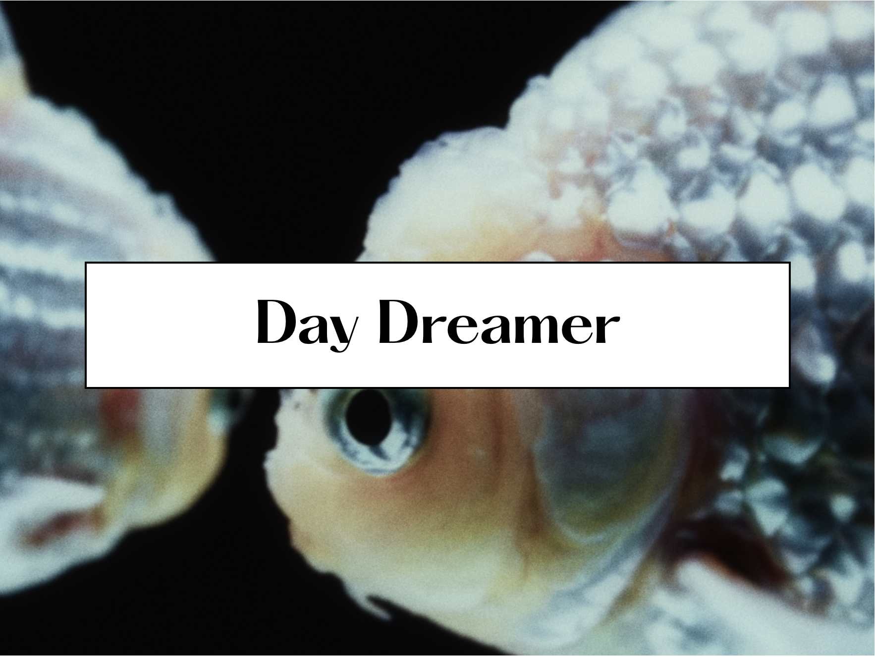 DAY DREAMER COVER.png
