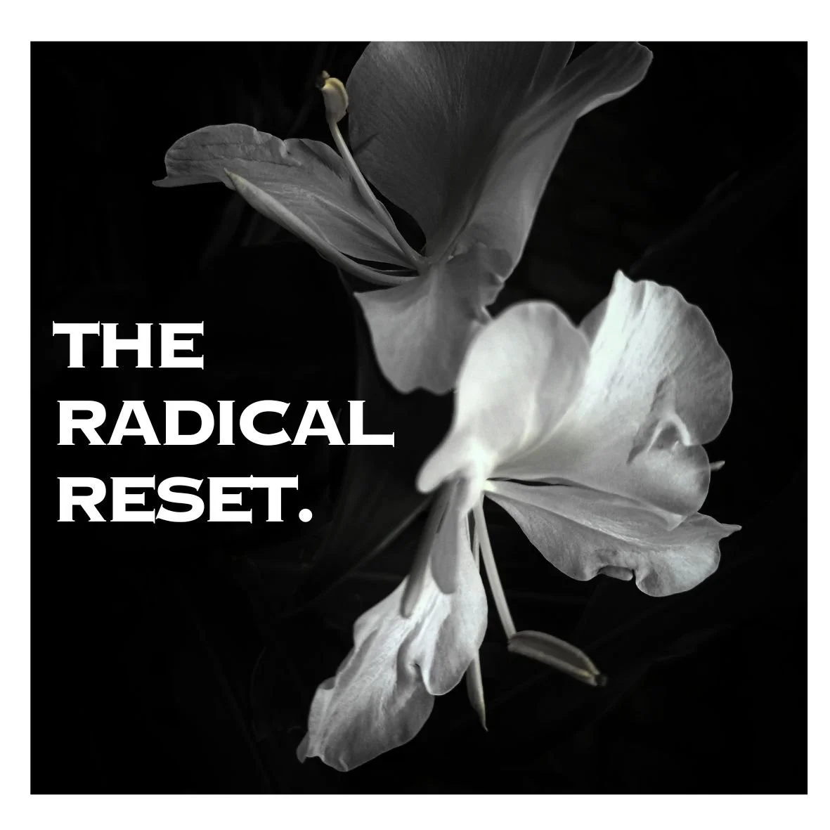 The Radical Reset 