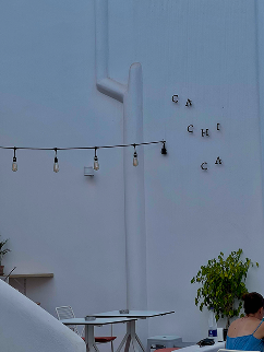 IMG_5908.png